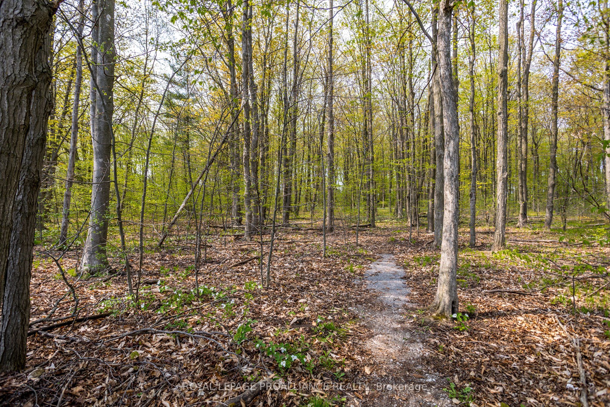 #501 - 1818 Cherryhill Road Property Photo 50