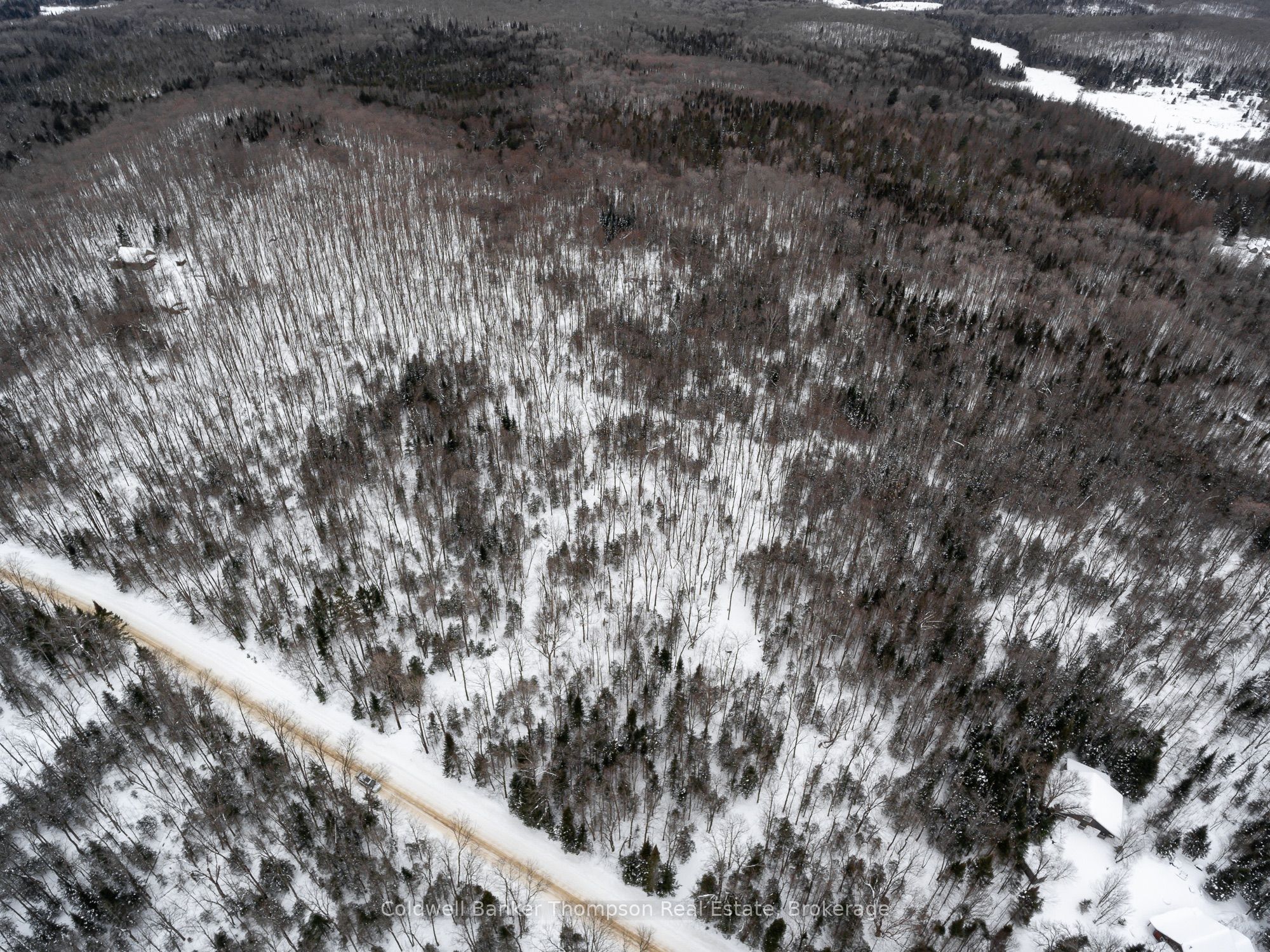 170 Ely Side Road Property Photo 8