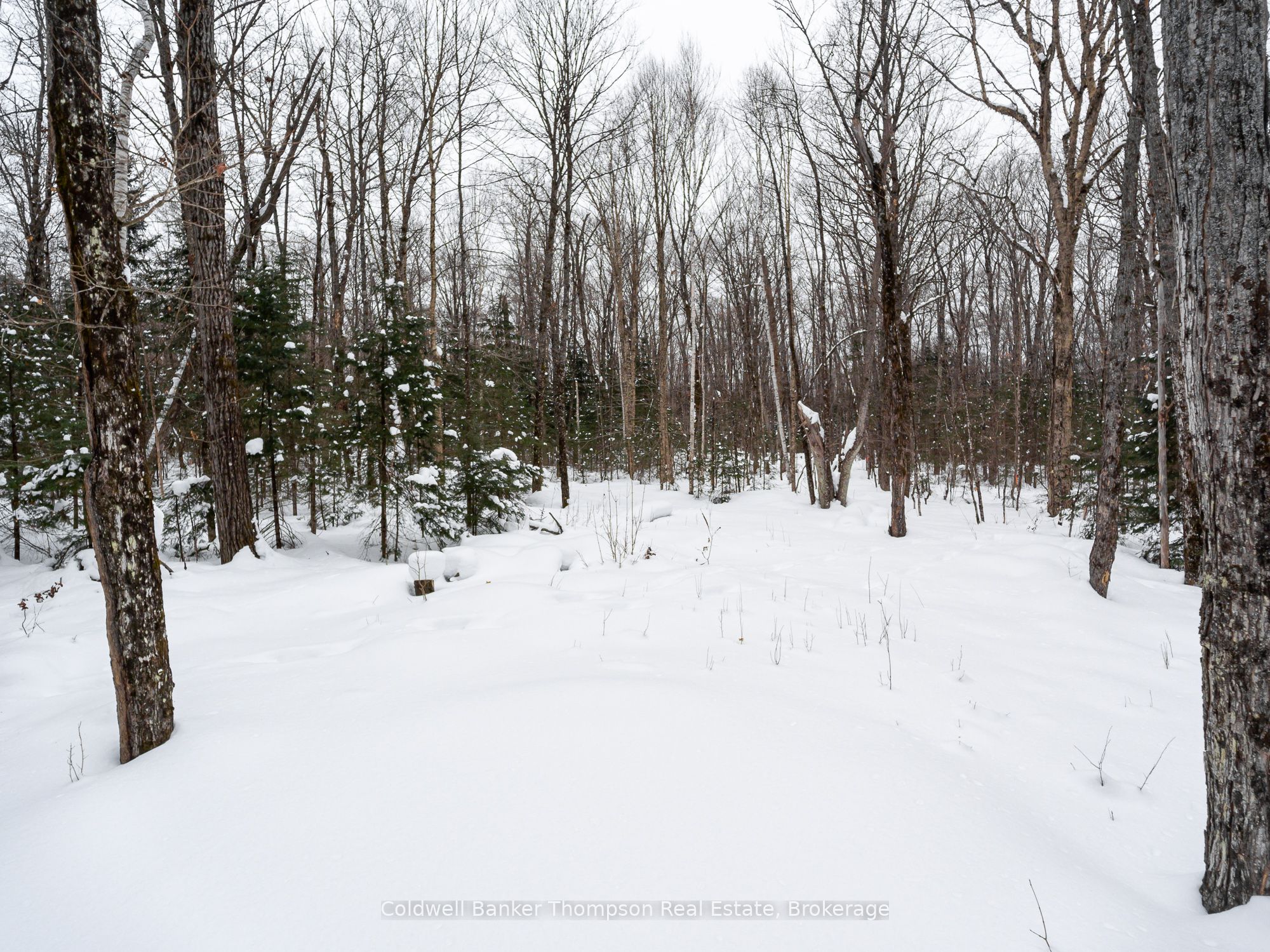170 Ely Side Road Property Photo 11