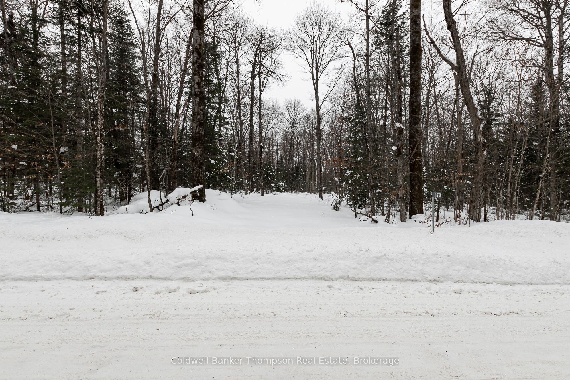 170 Ely Side Road Property Photo 12