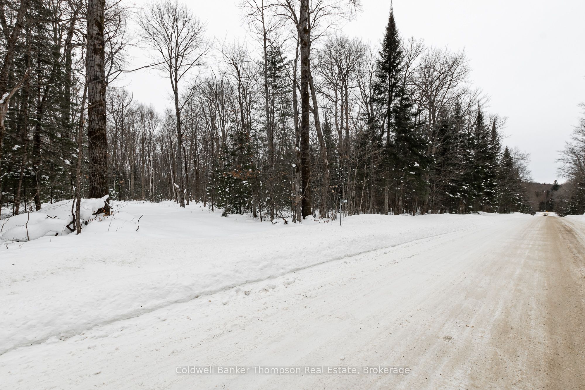 170 Ely Side Road Property Photo 13