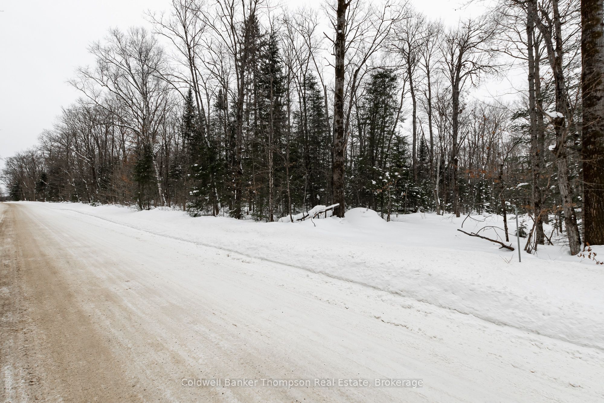 170 Ely Side Road Property Photo 14