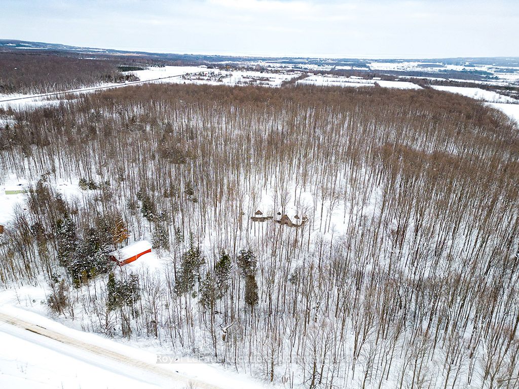 058151 12th Line Property Photo 45