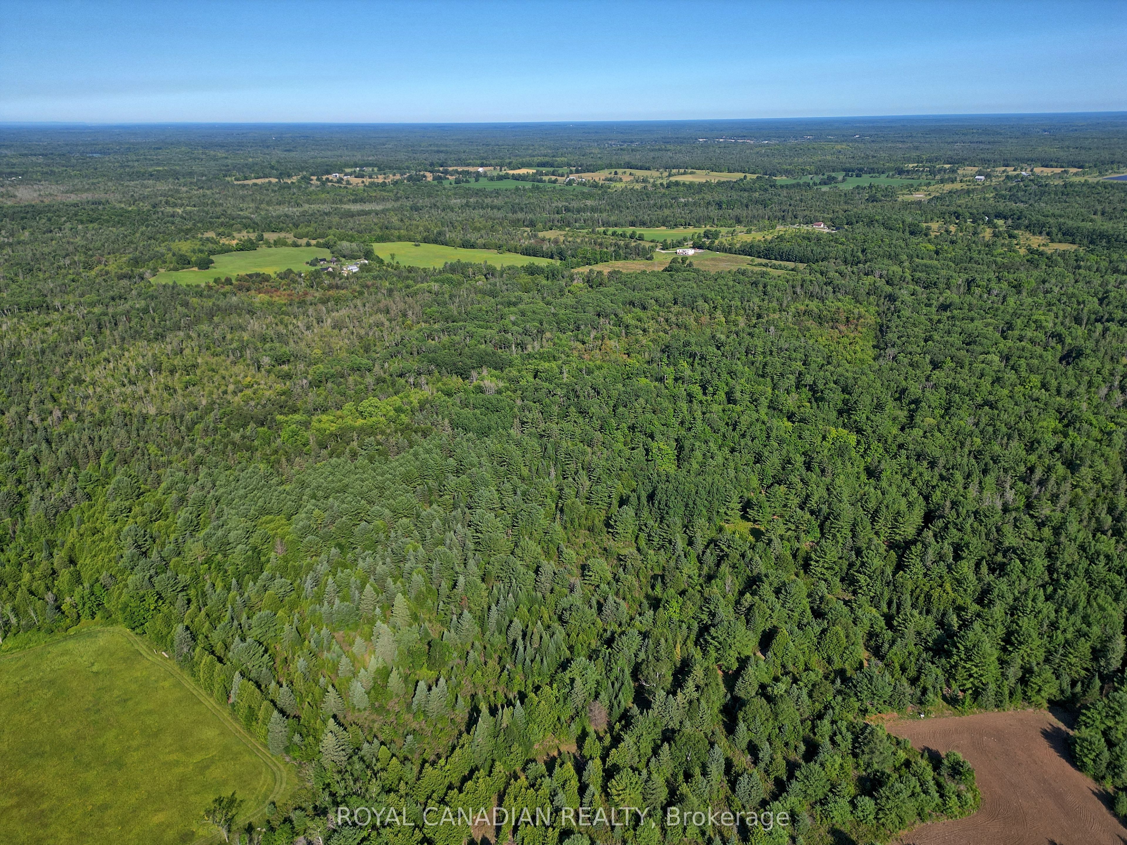 1058 Northline Road Property Photo 7