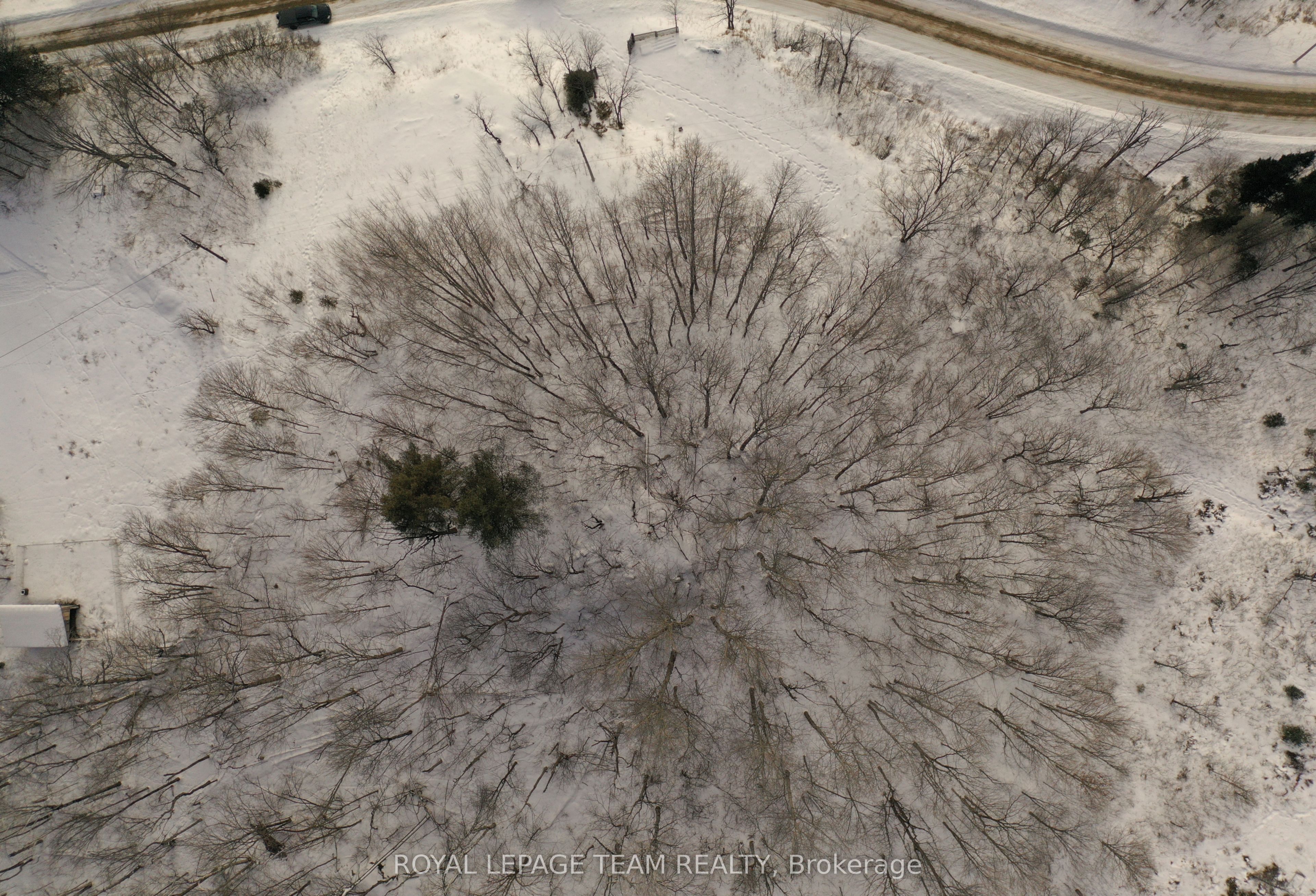 1231 Shiner Road Property Photo 3