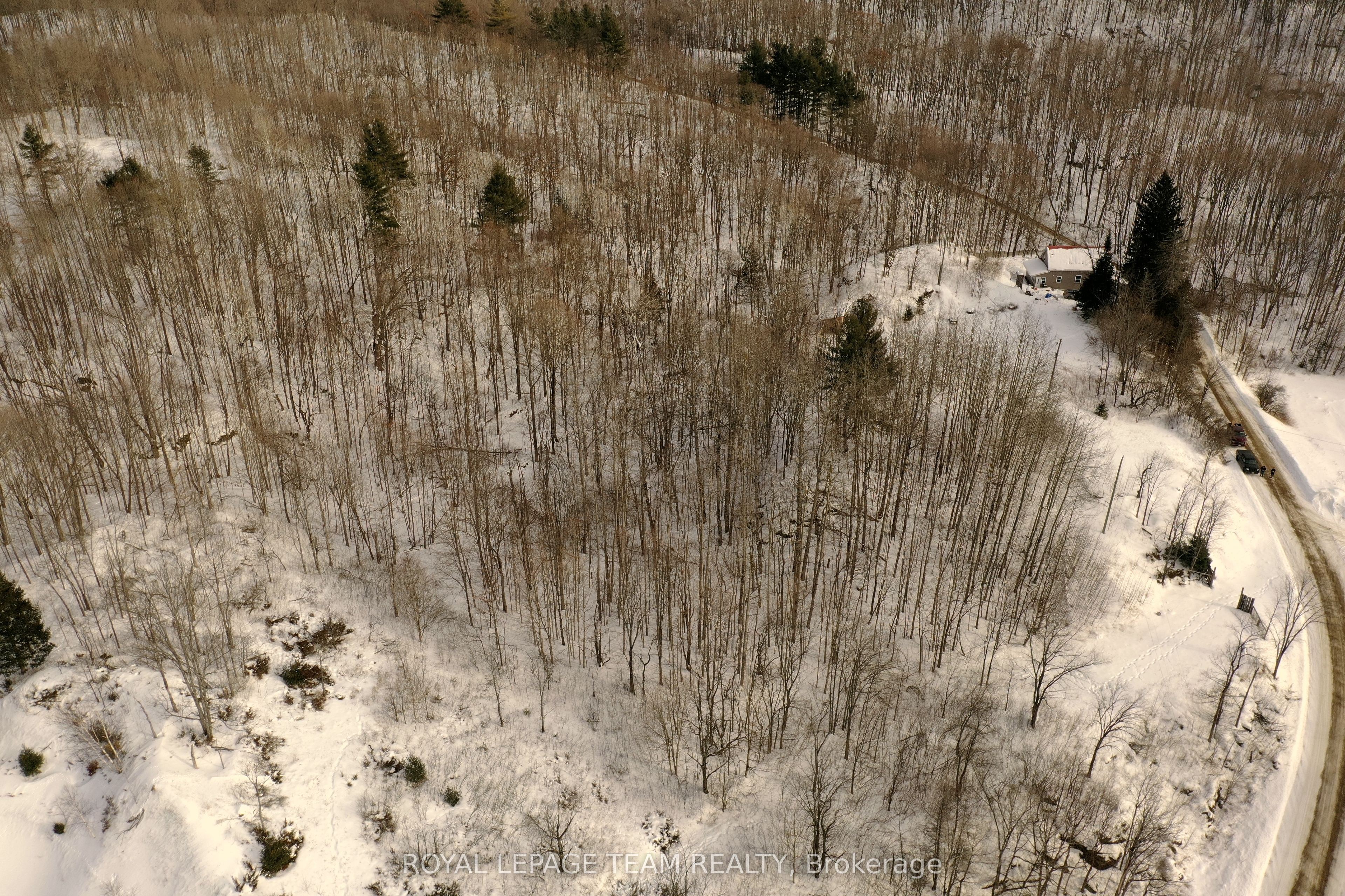 1231 Shiner Road Property Photo 5