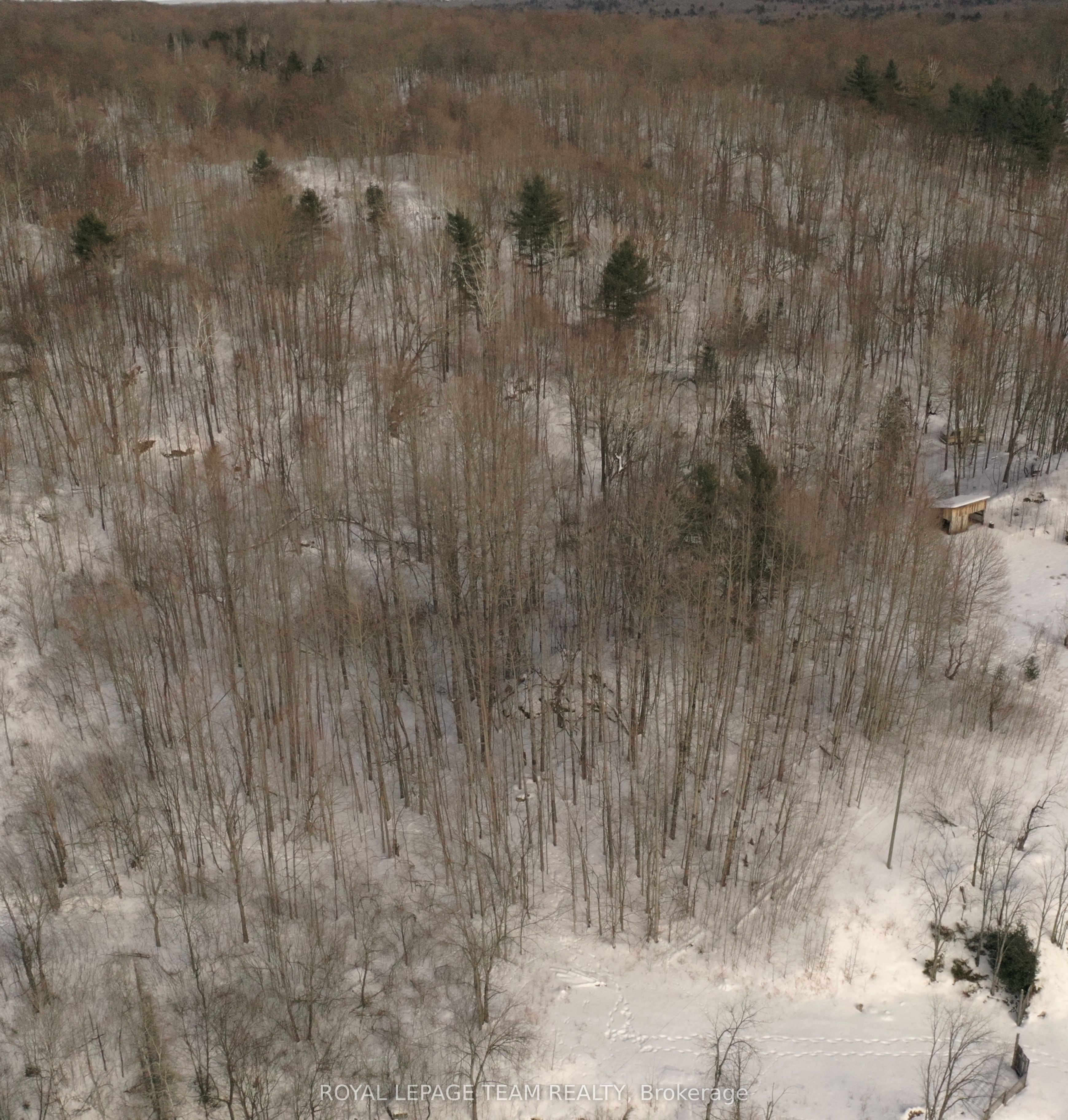 1231 Shiner Road Property Photo 7