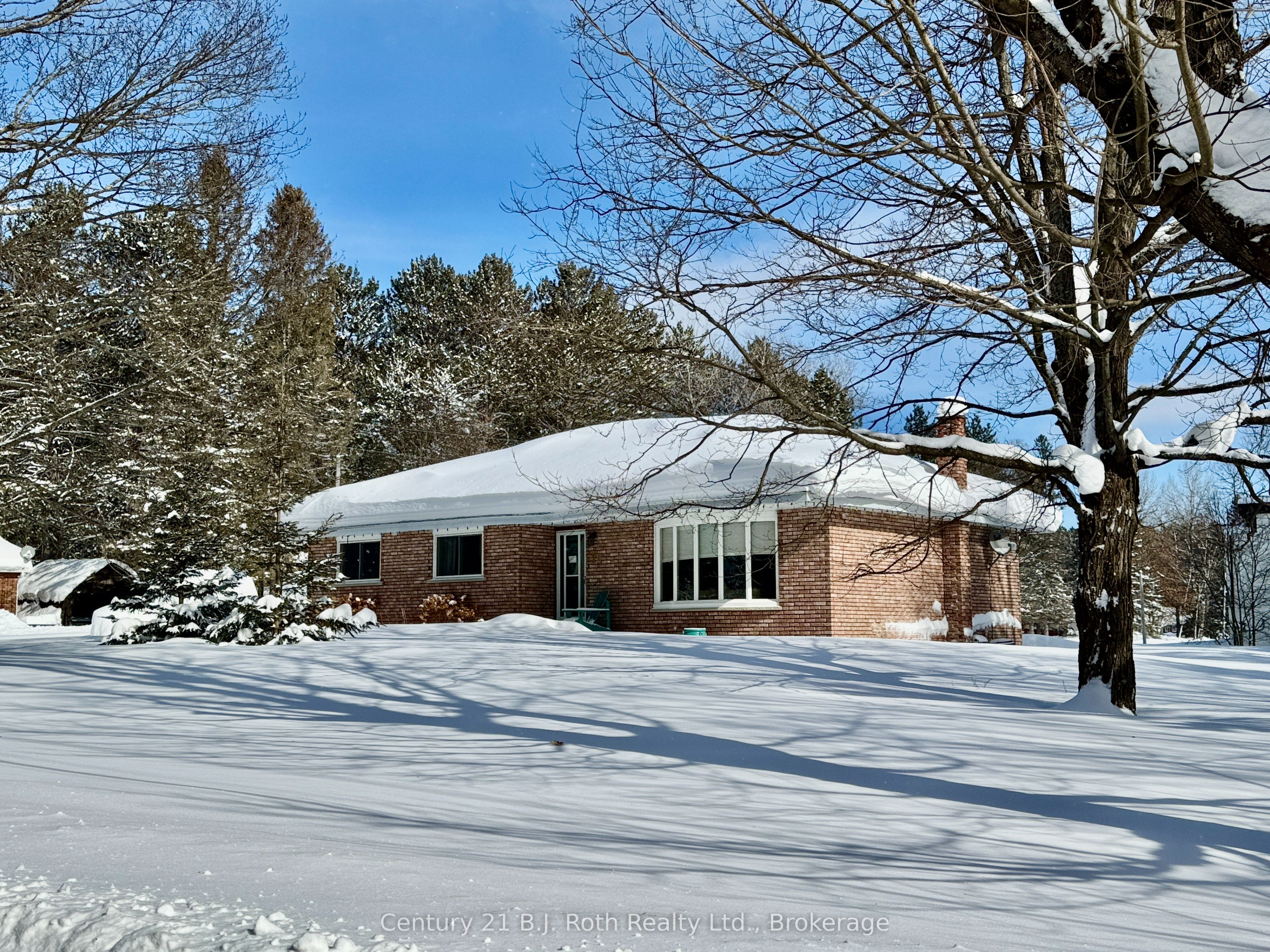 79 Albert Street Property Photo