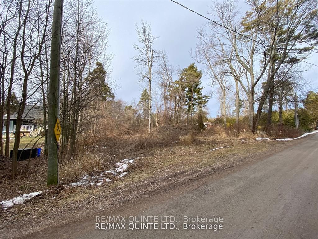 149 Evergreen Lane Property Photo 5