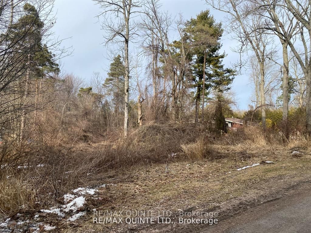 149 Evergreen Lane Property Photo 6