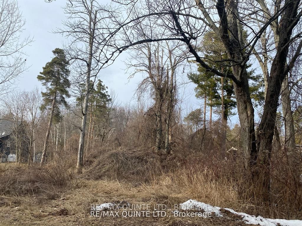149 Evergreen Lane Property Photo 6