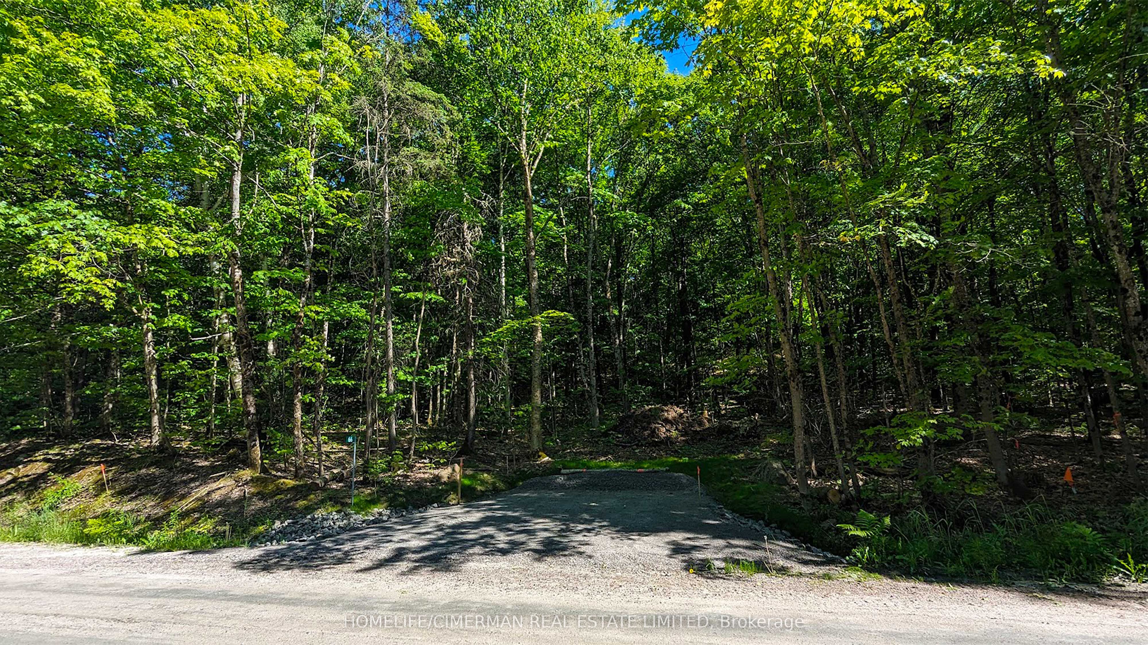 66 Mccauley Road Property Photo 2