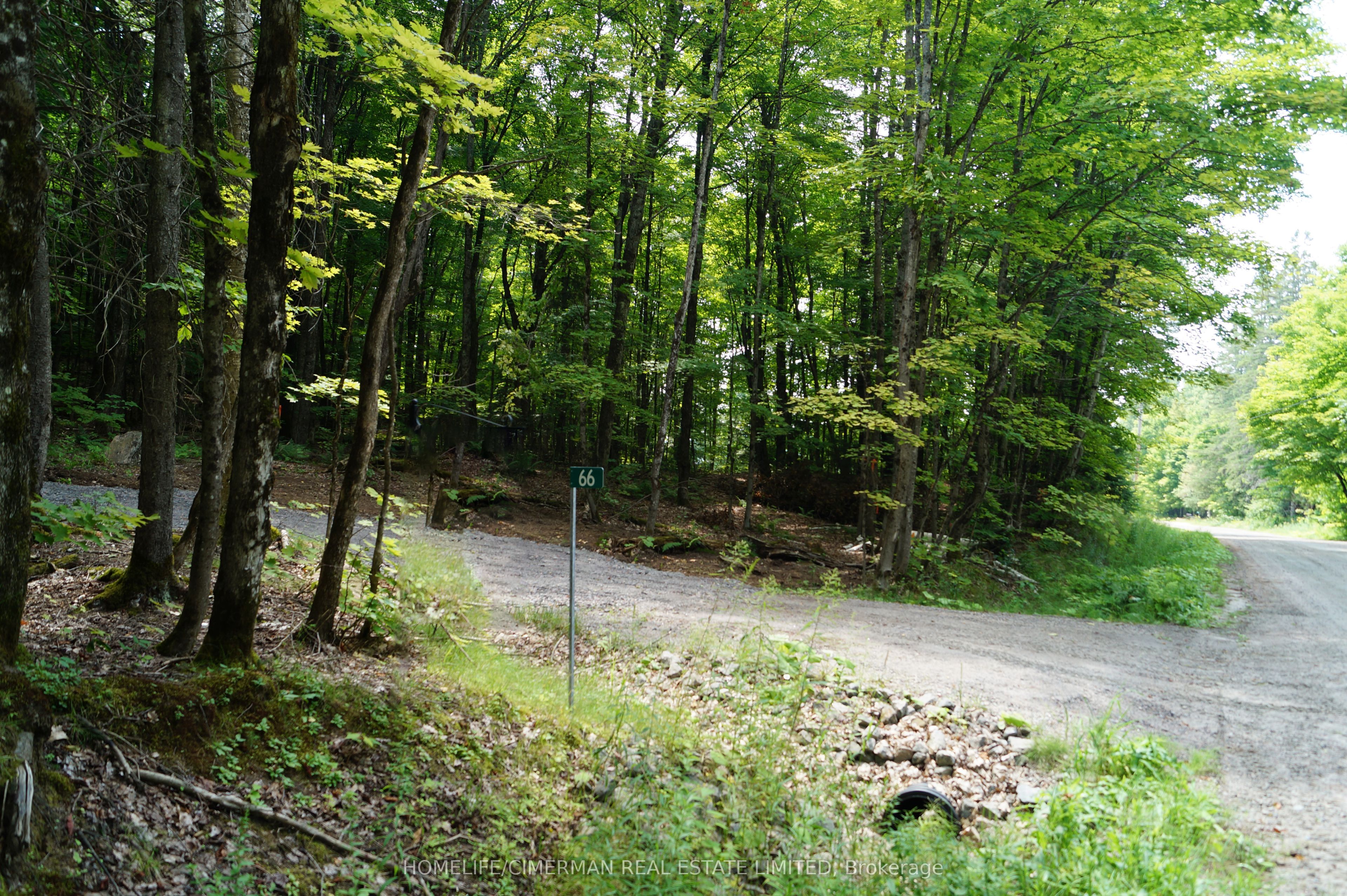 66 Mccauley Road Property Photo 3