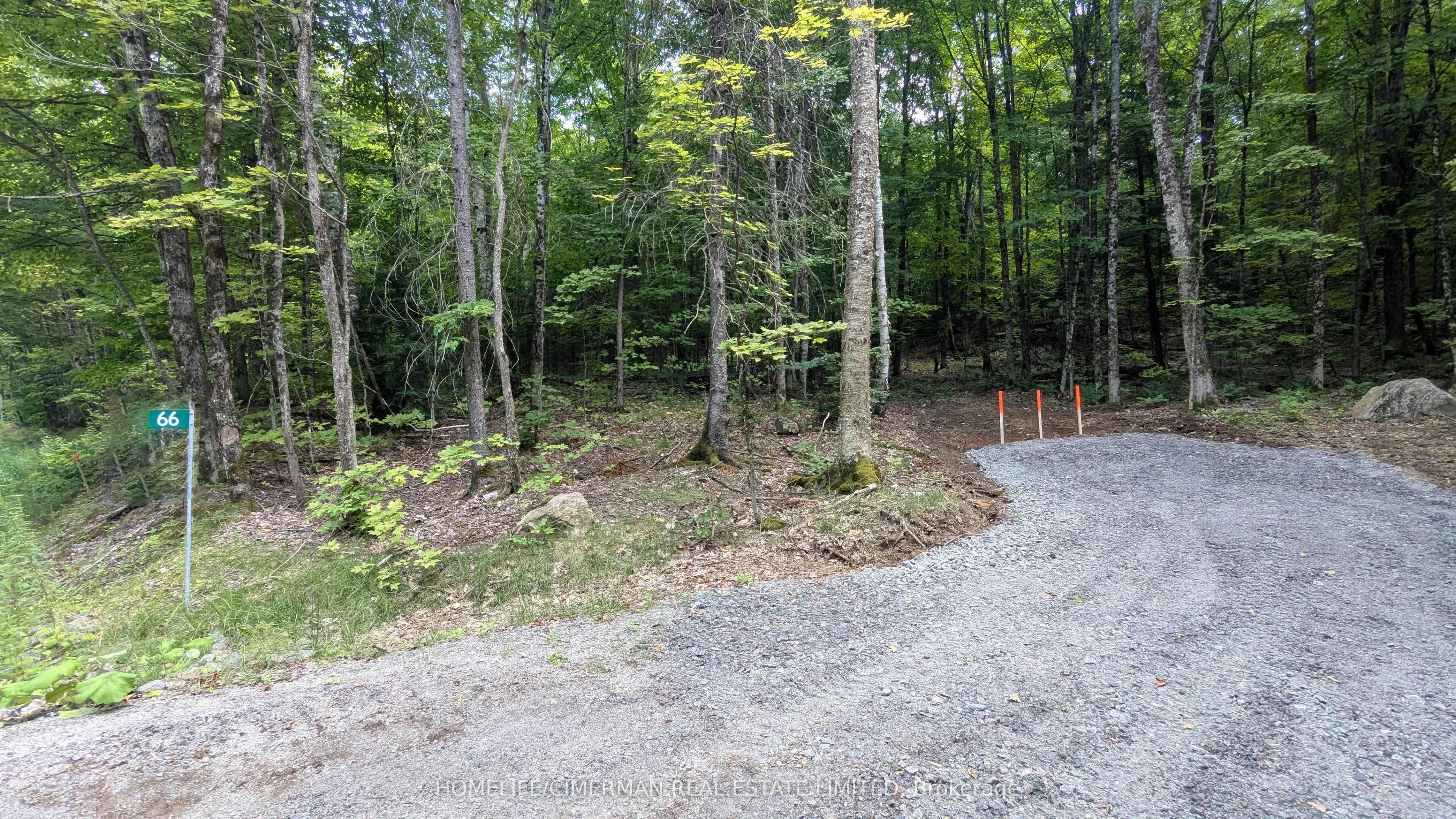 66 Mccauley Road Property Photo 4