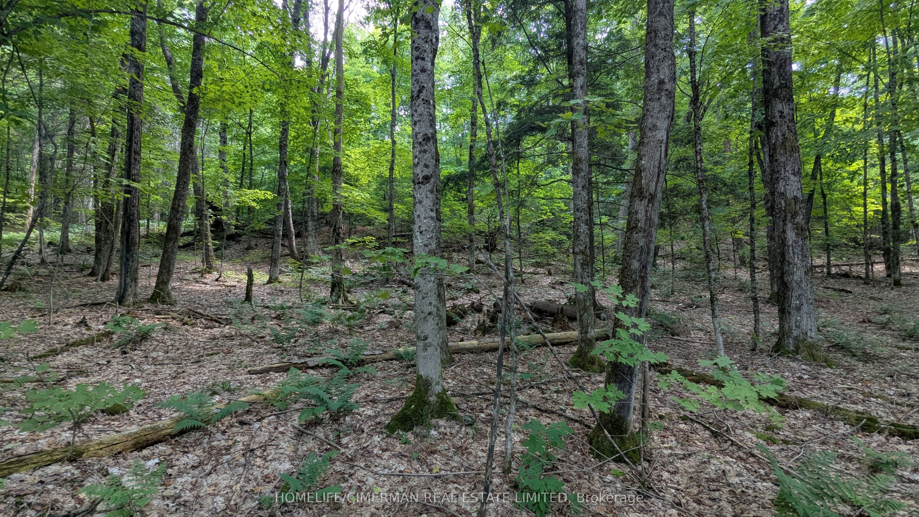 66 Mccauley Road Property Photo 7