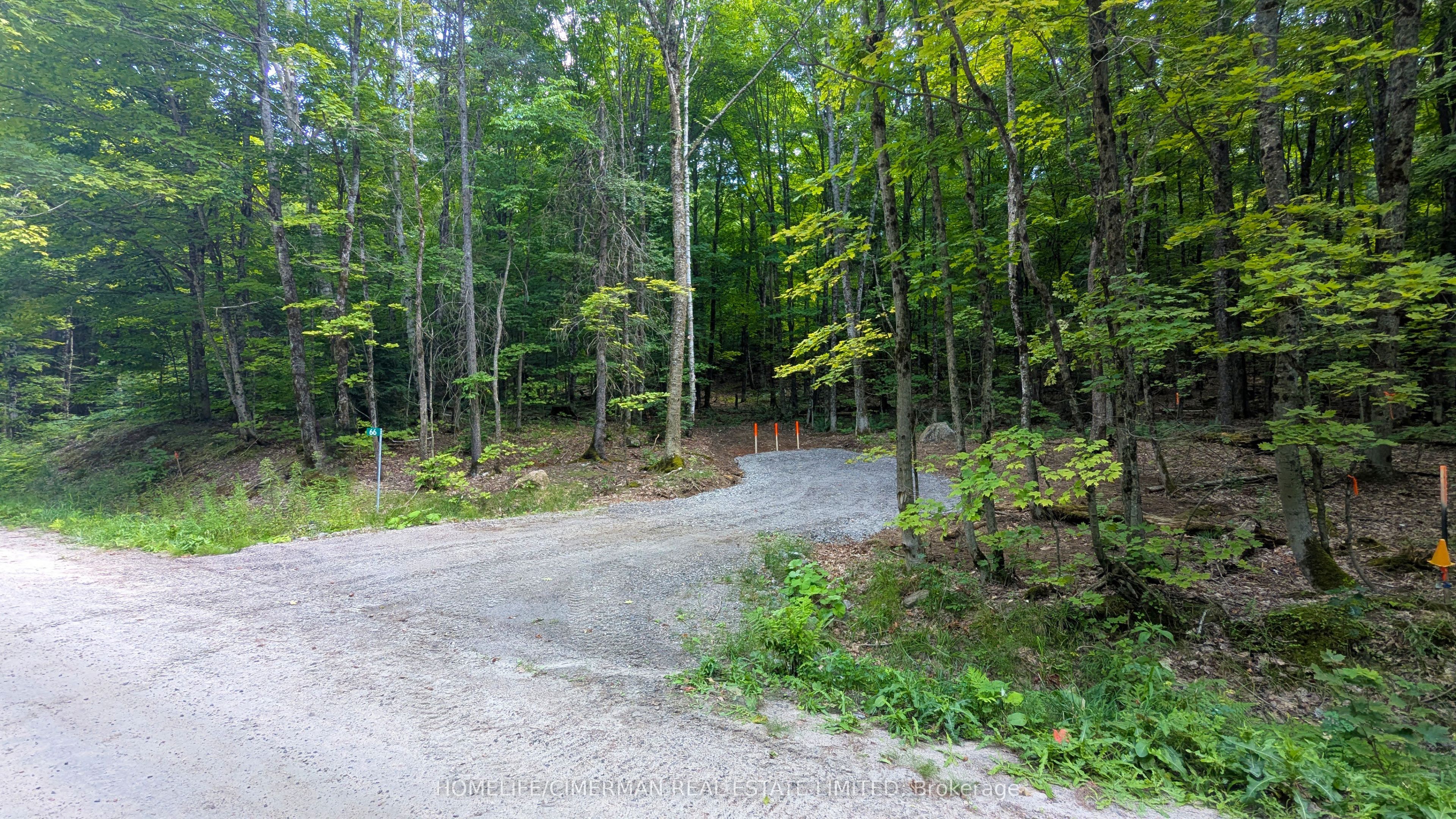 66 Mccauley Road Property Photo 16