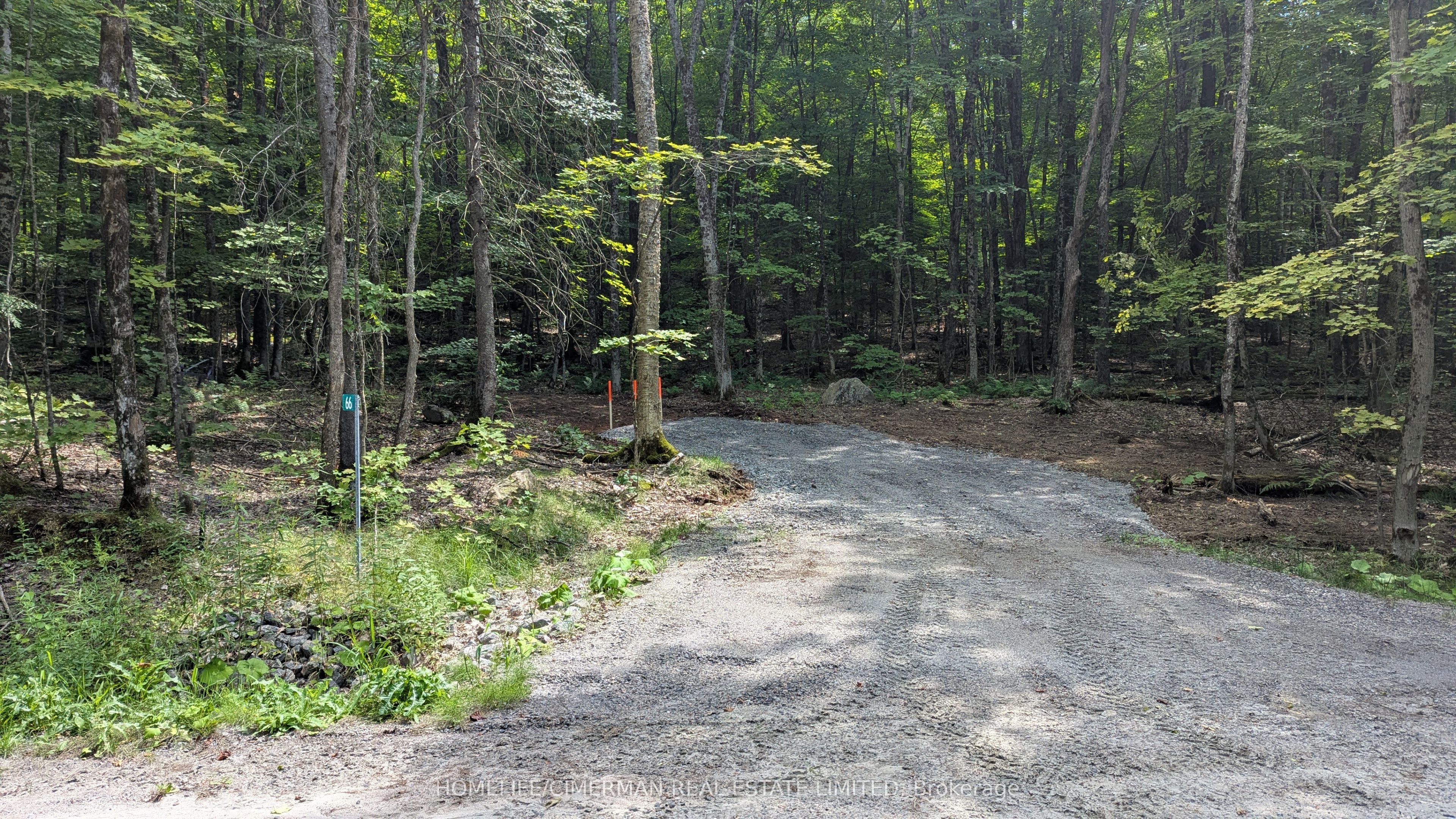 66 Mccauley Road Property Photo 17