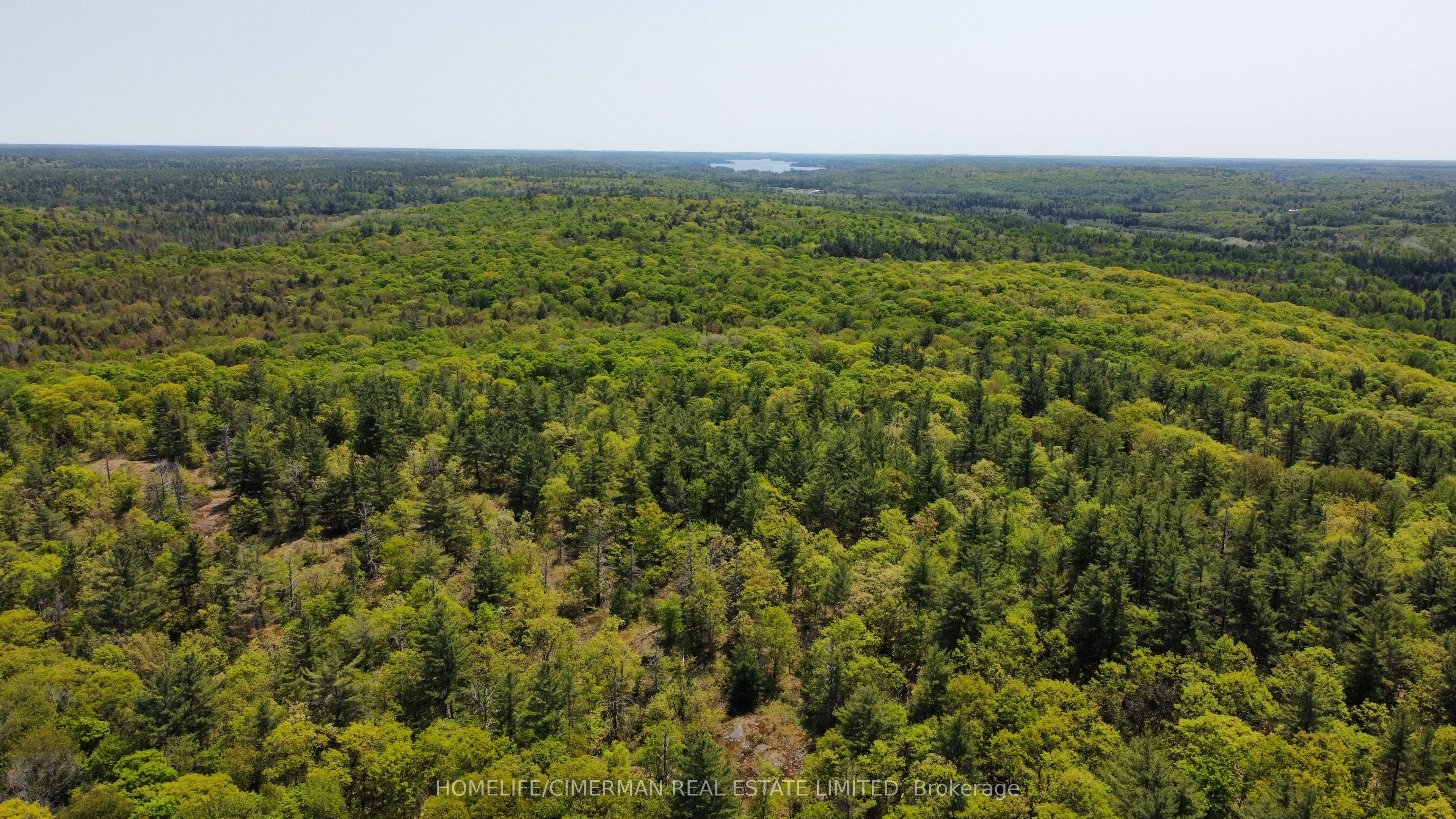 66 Mccauley Road Property Photo 22
