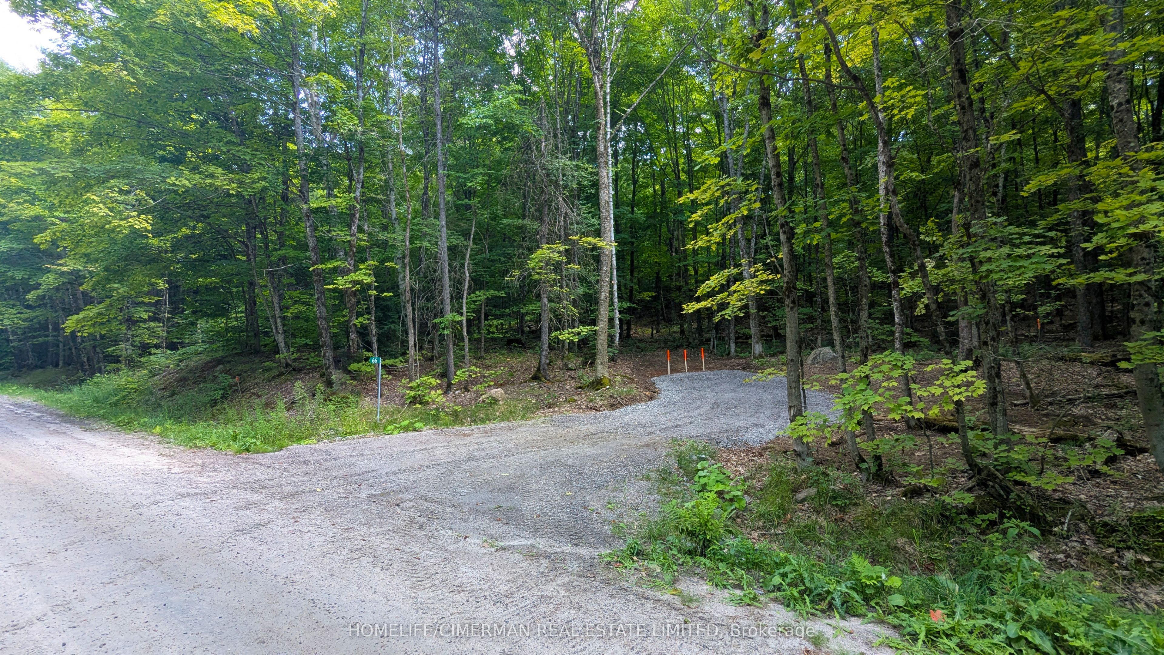 66 Mccauley Road Property Photo 26