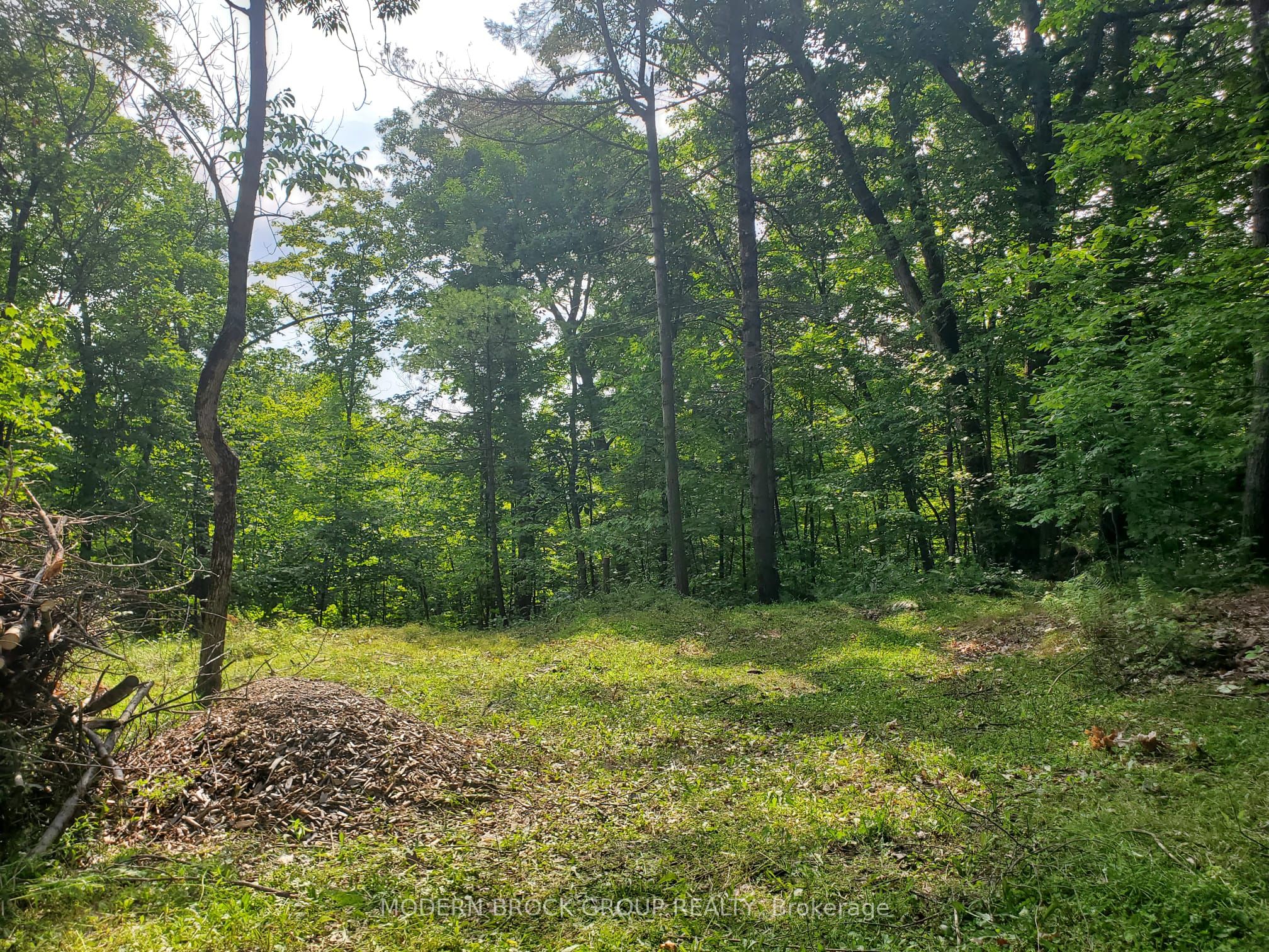 0 Beaver Mdws Road Property Photo