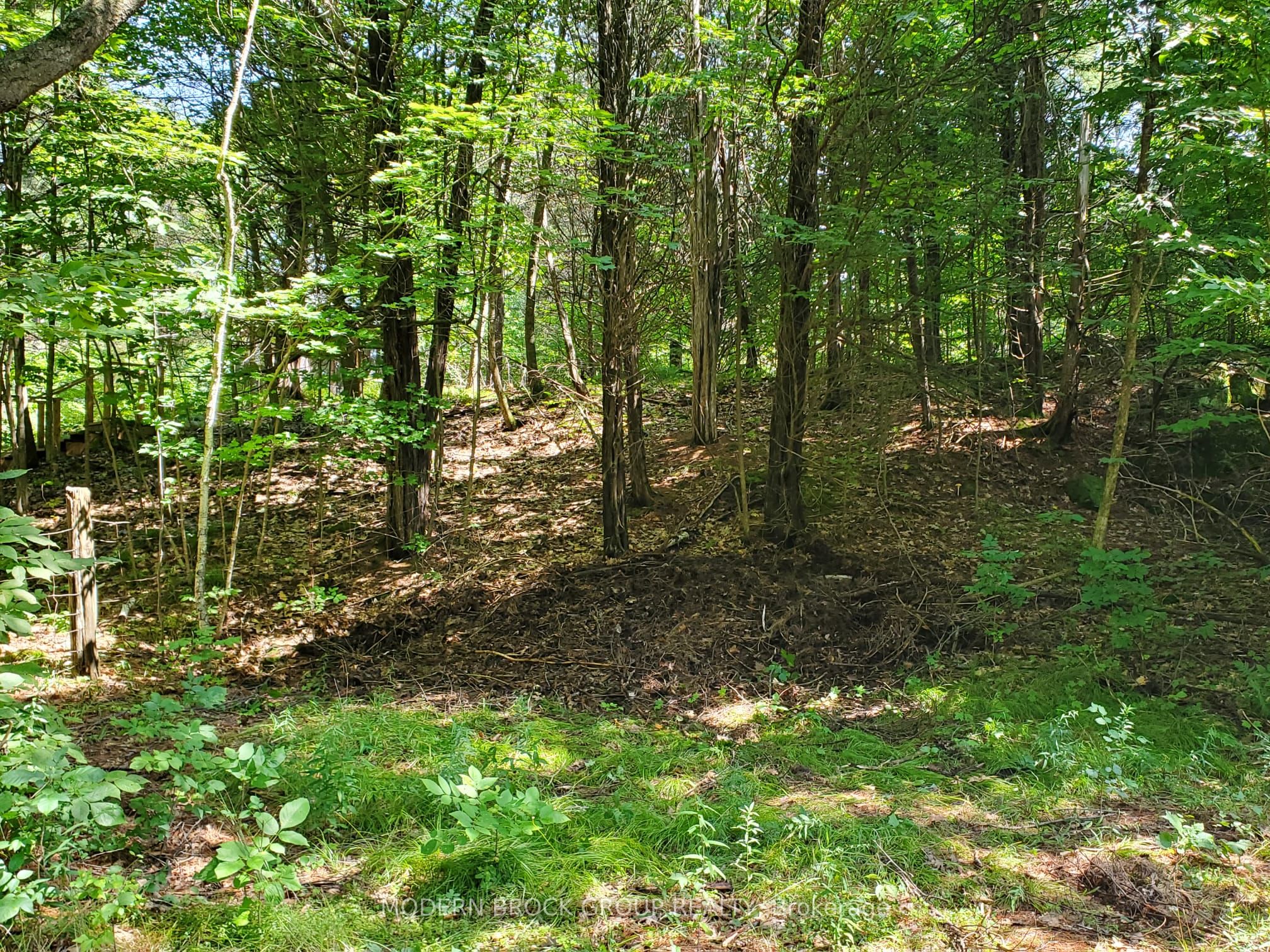 0 Beaver Mdws Road Property Photo 4