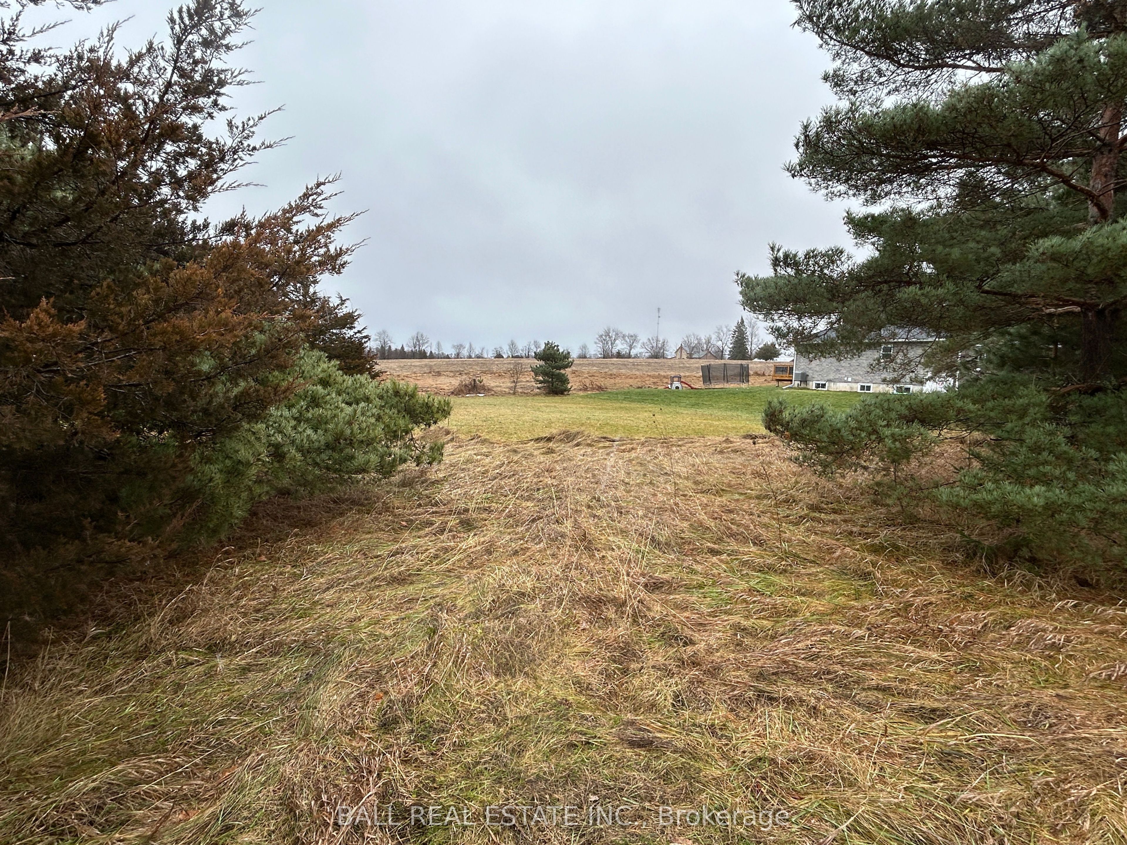 1753 Morris Avenue Property Photo 2