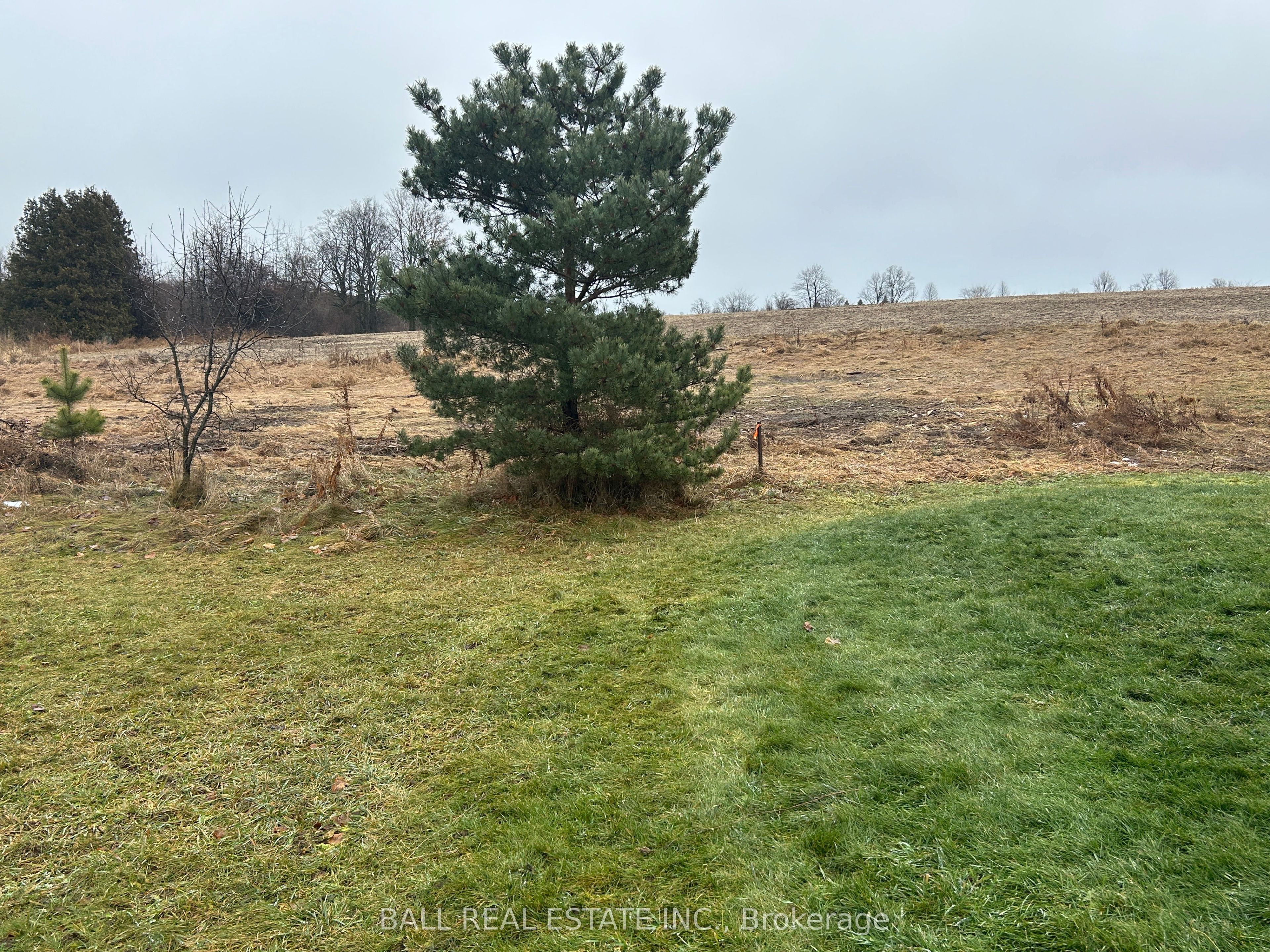 1753 Morris Avenue Property Photo 3