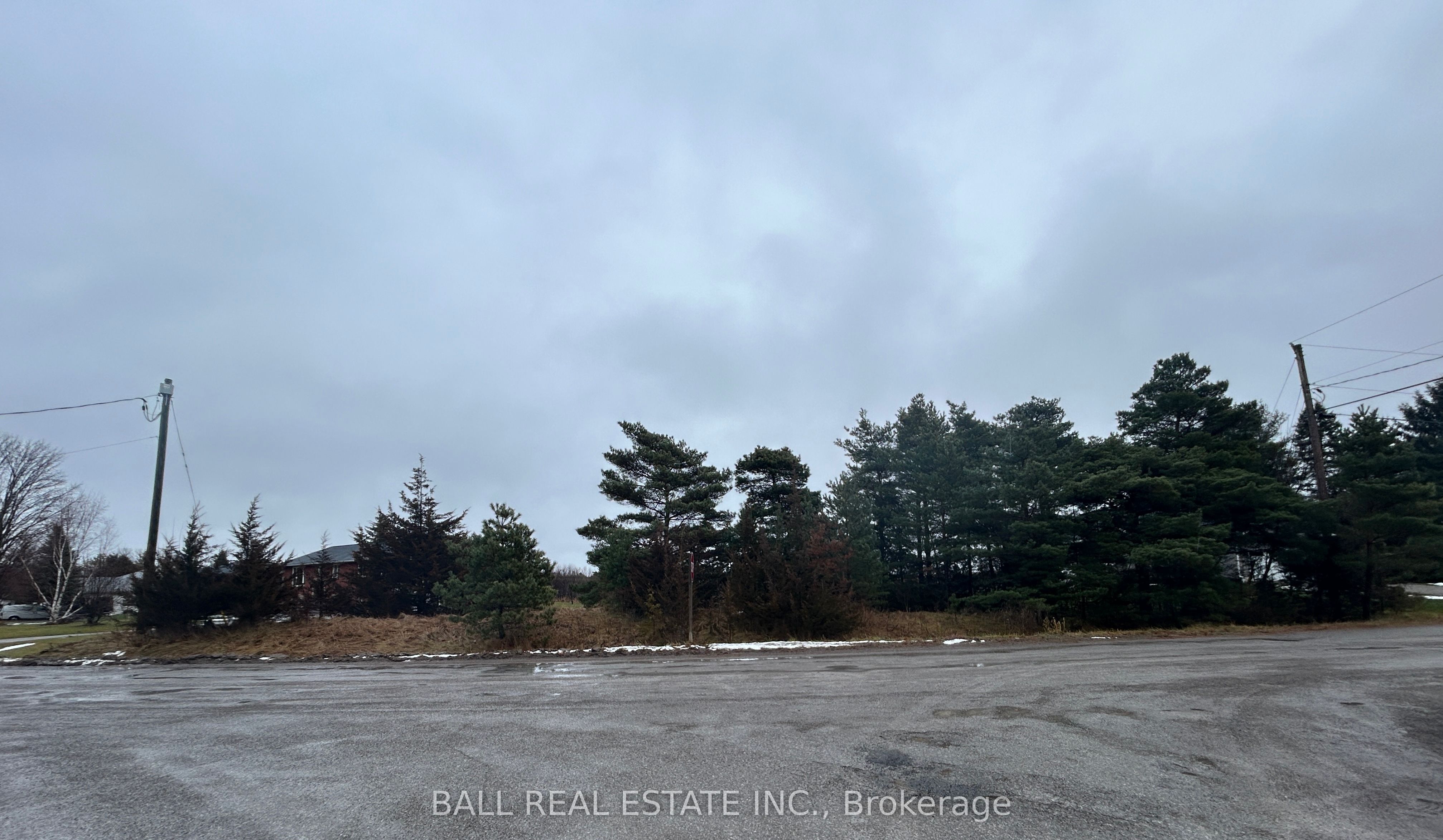 1753 Morris Avenue Property Photo 4