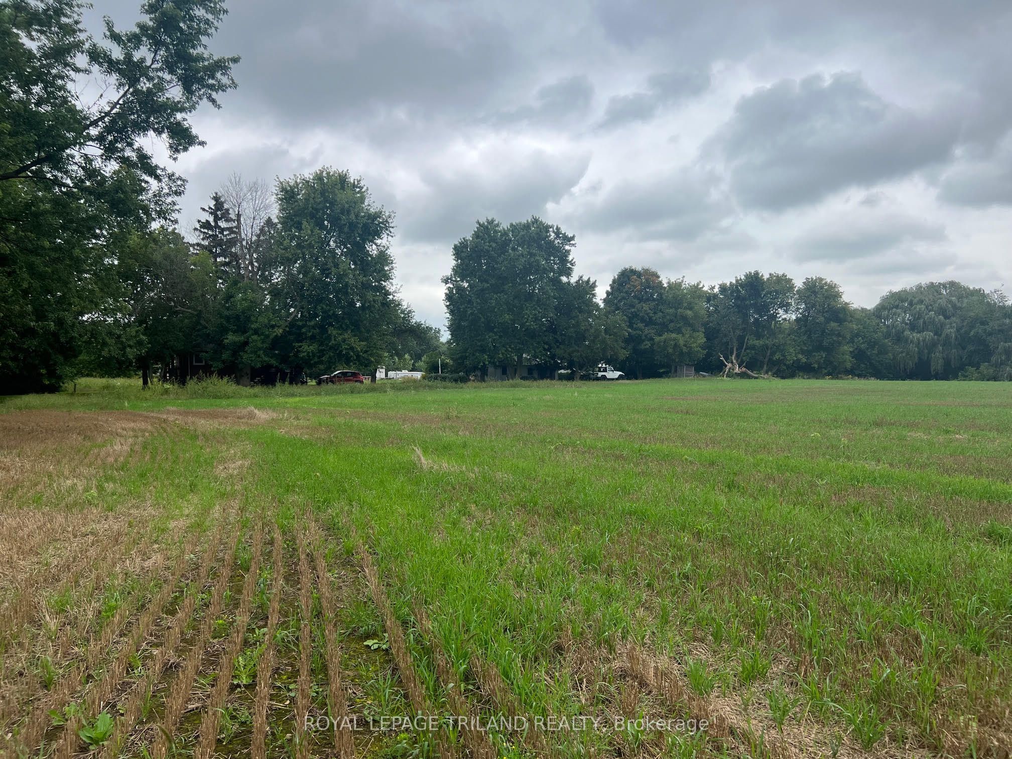 558 Crumlin Sideroad Property Photo 24