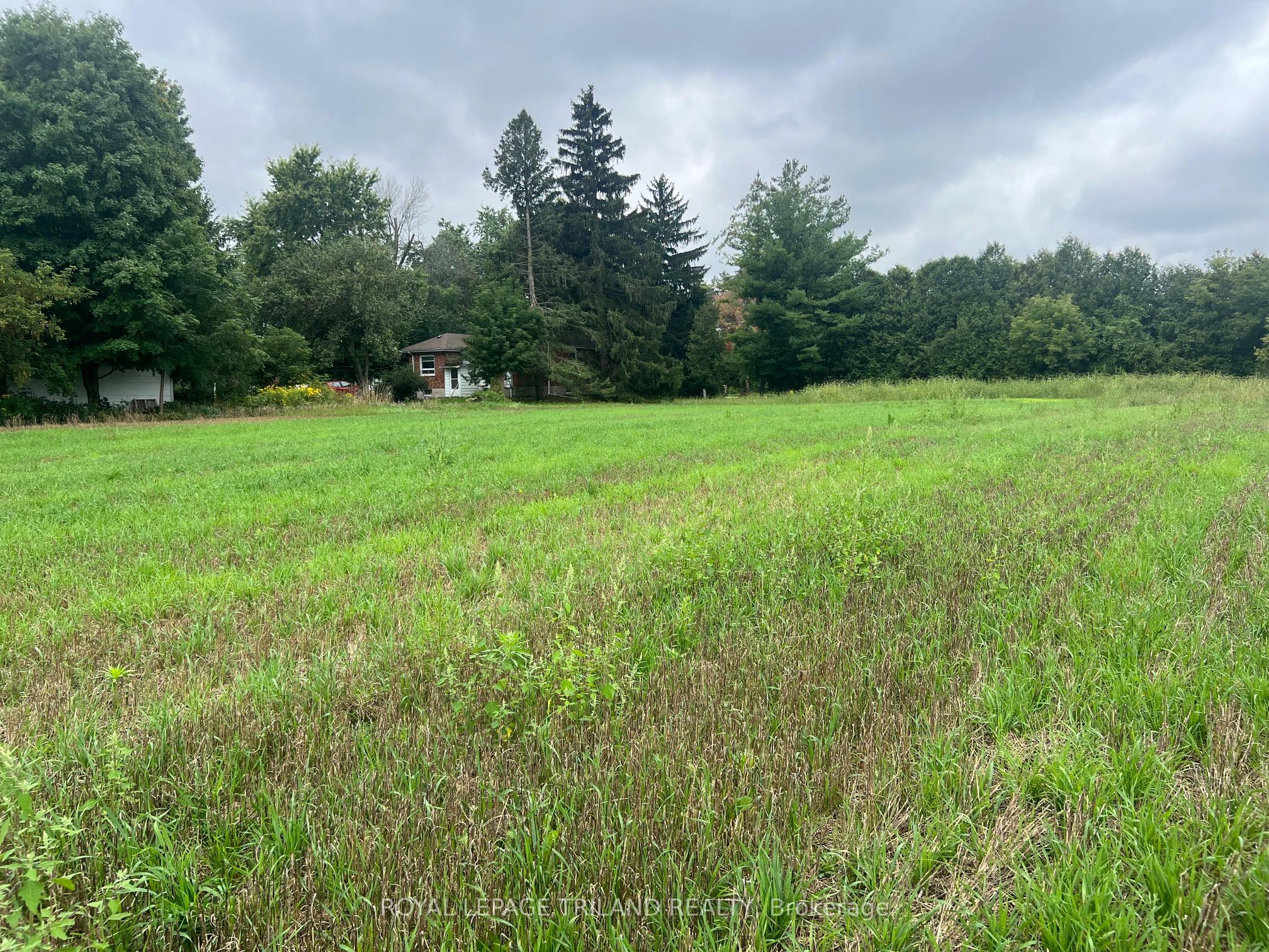 558 Crumlin Sideroad Property Photo 27