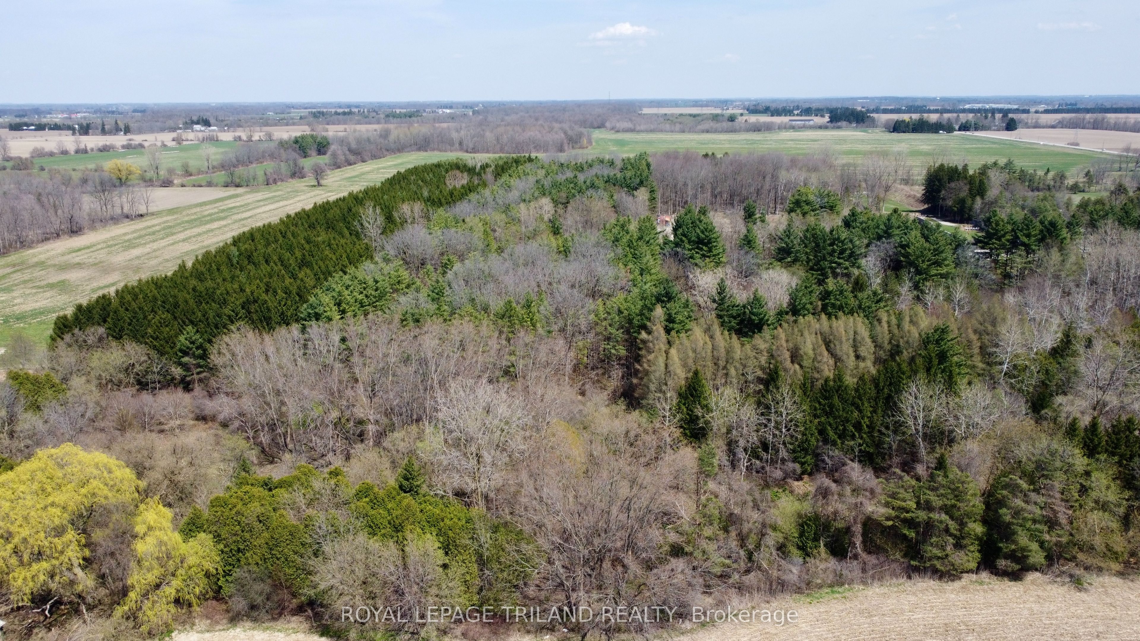 558 Crumlin Sideroad Property Photo 35
