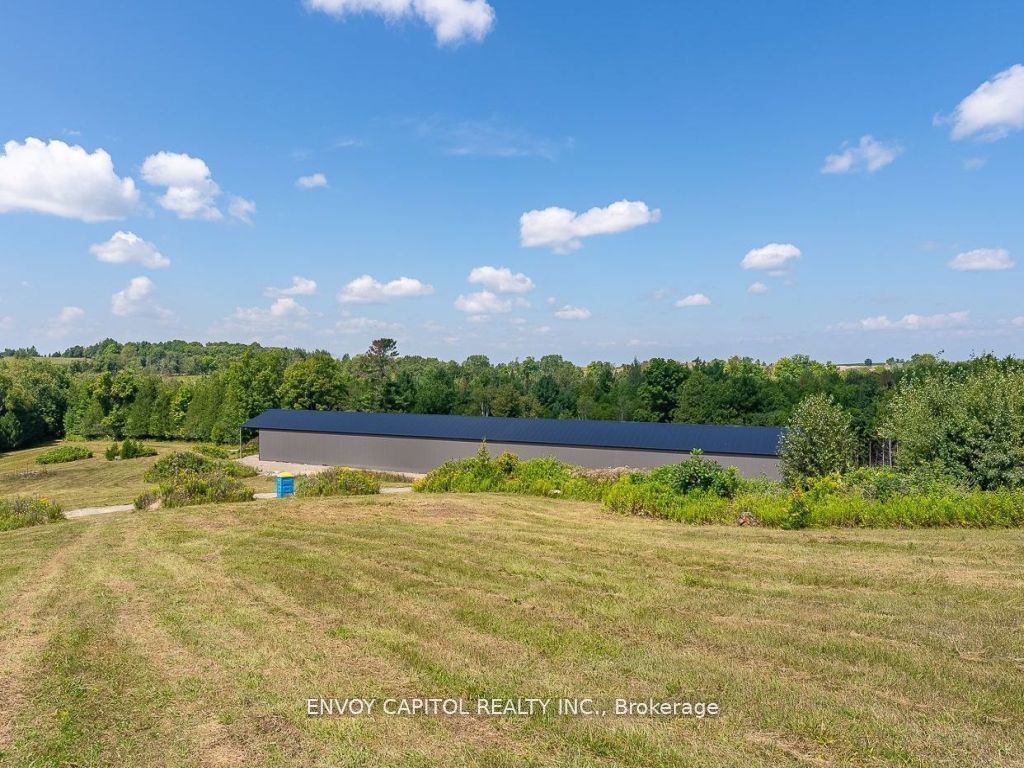 401 Grassy Road Property Photo 7