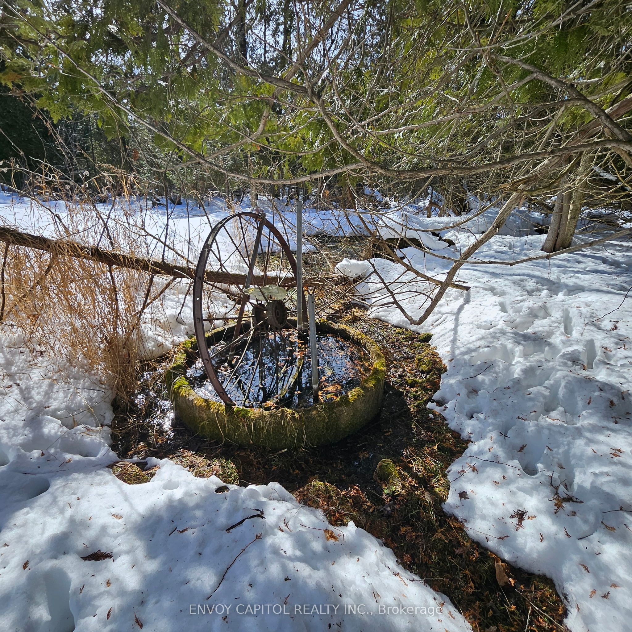 401 Grassy Road Property Photo 18
