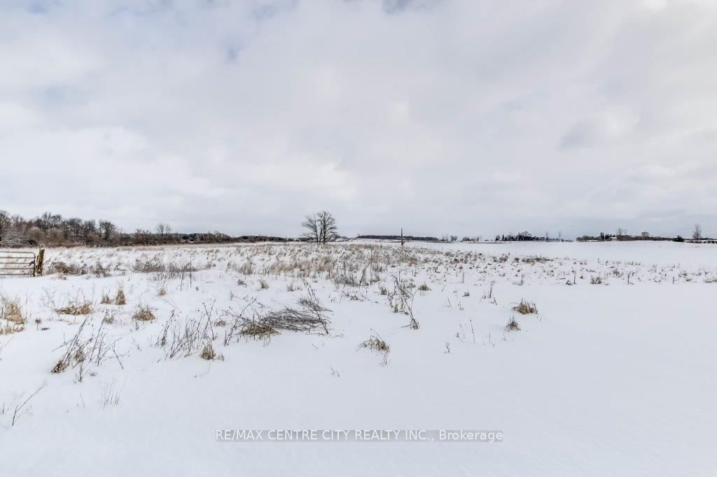 34639 Third Line Property Photo 43