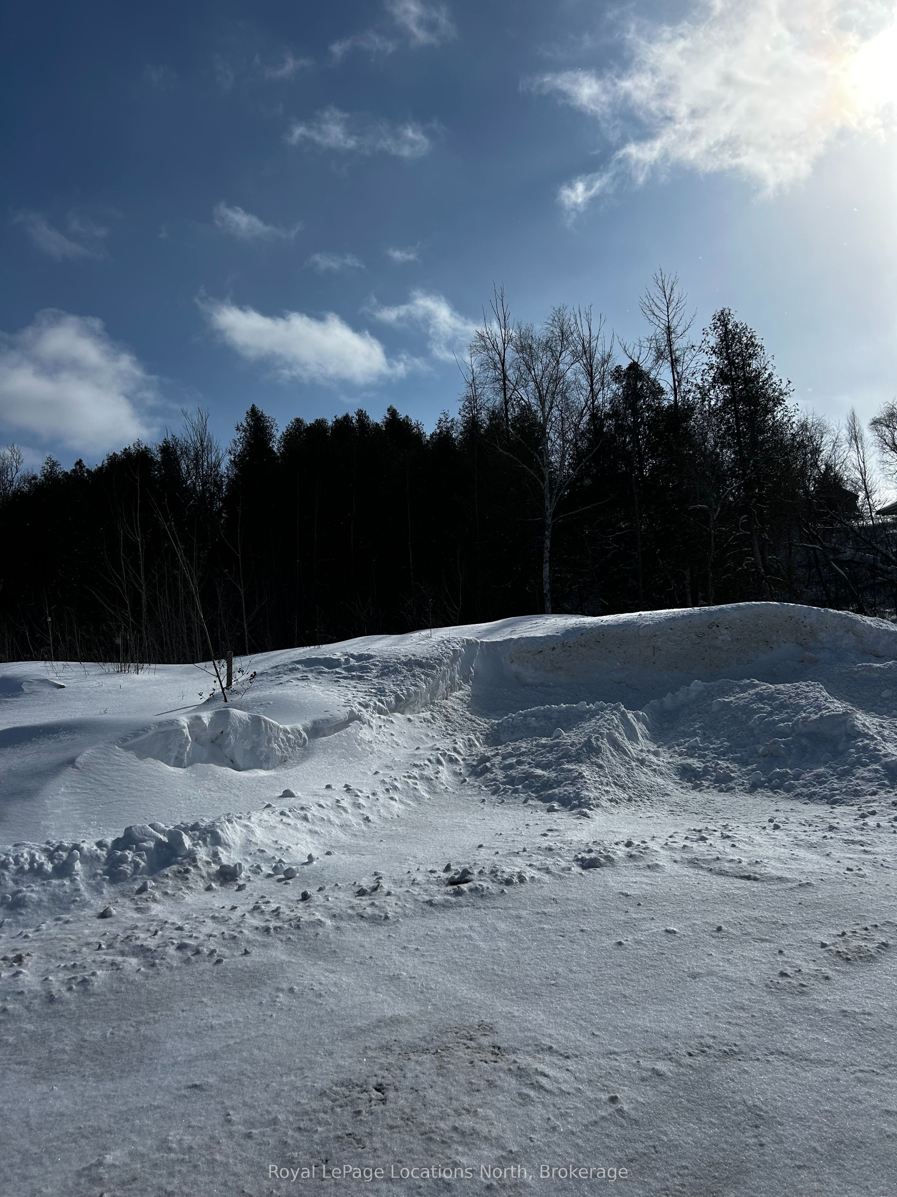 111 Pheasant Run Property Photo 3