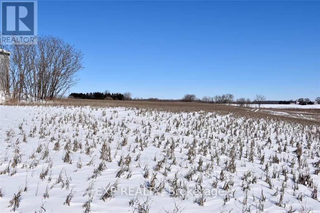 15686 Muirkirk Line Property Photo 4