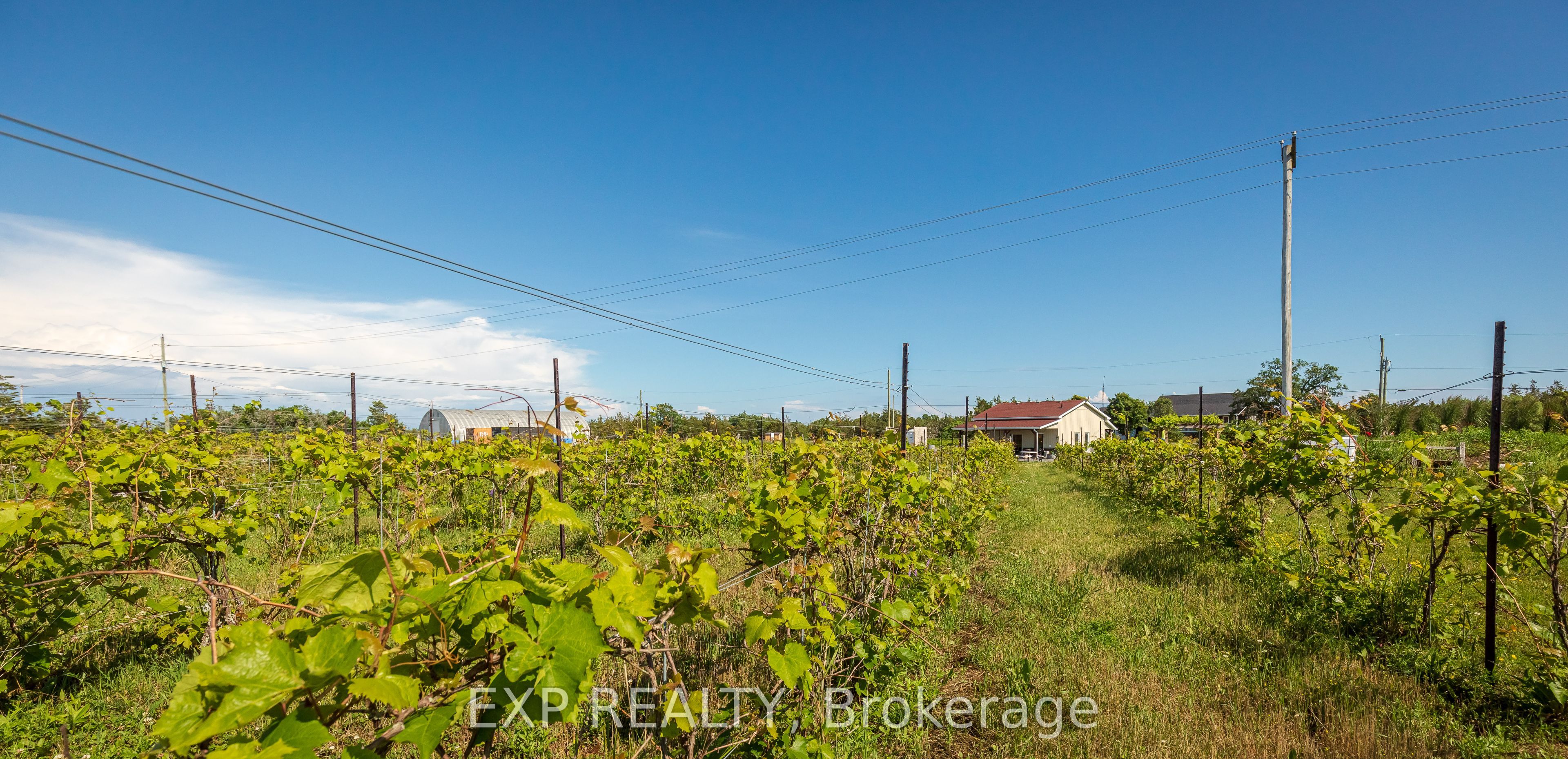 3609 County Rd 8 Property Photo 32