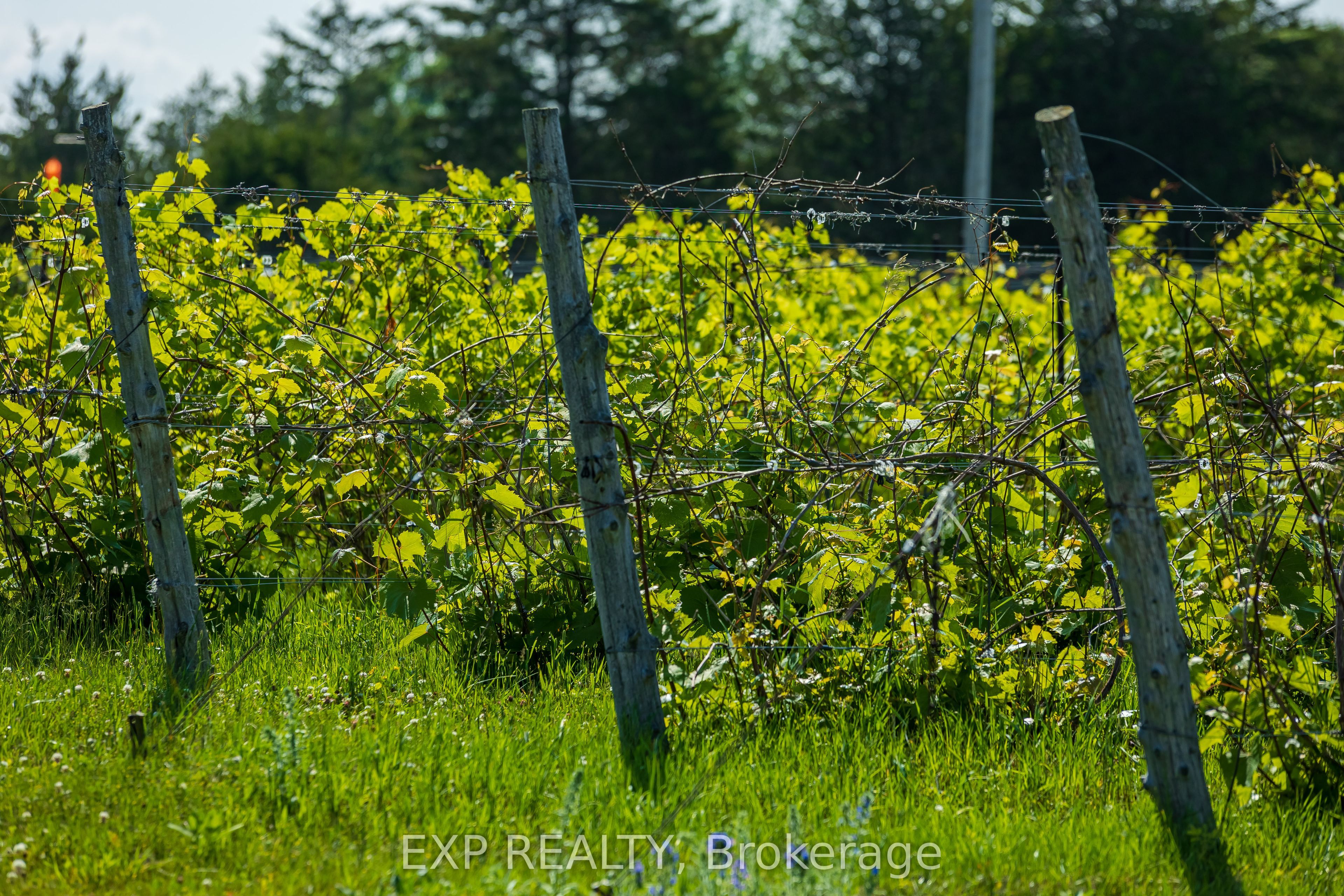 3609 County Rd 8 Property Photo 39