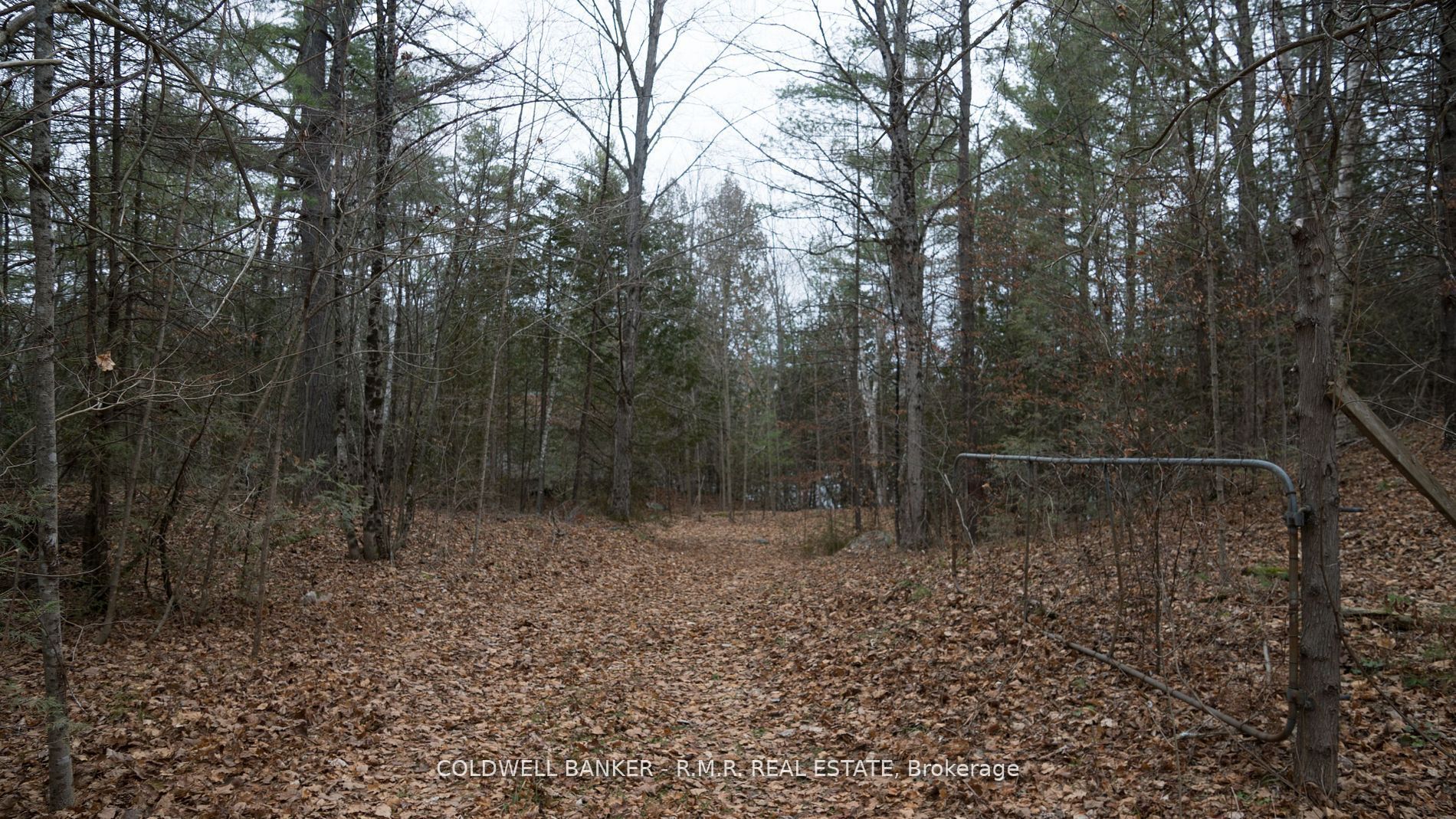 8860 County Rd 41 Property Photo 9