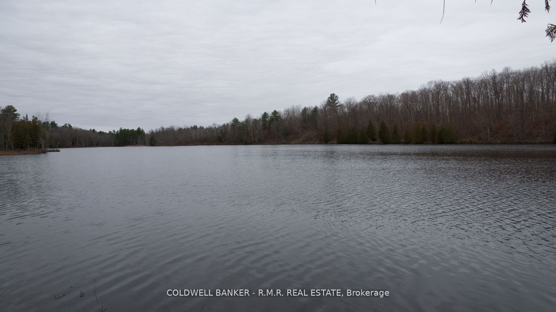 8860 County Rd 41 Property Photo 22