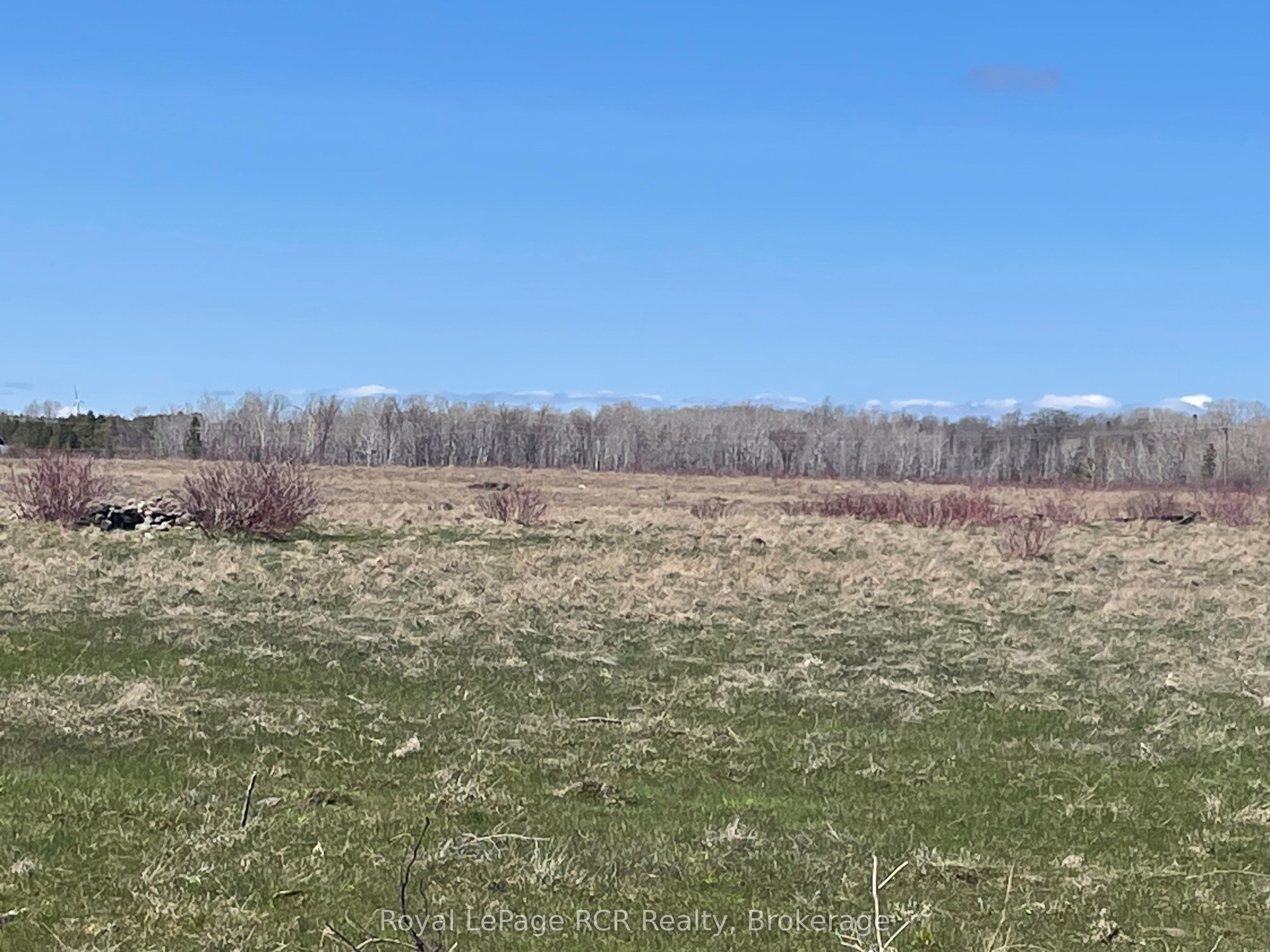250 Scotch Line Road Property Photo 3