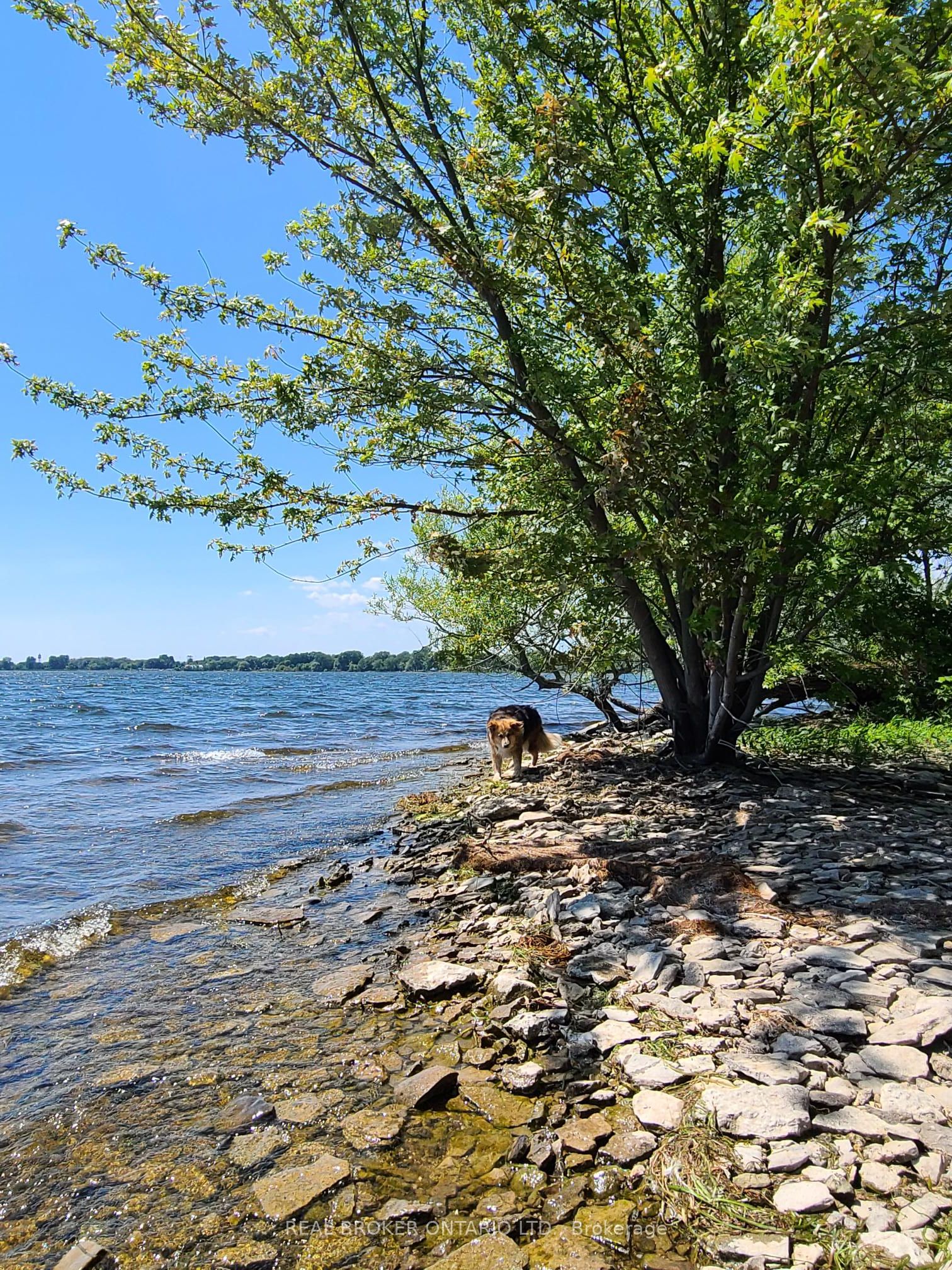 0 Makatewis Island Property Photo 7