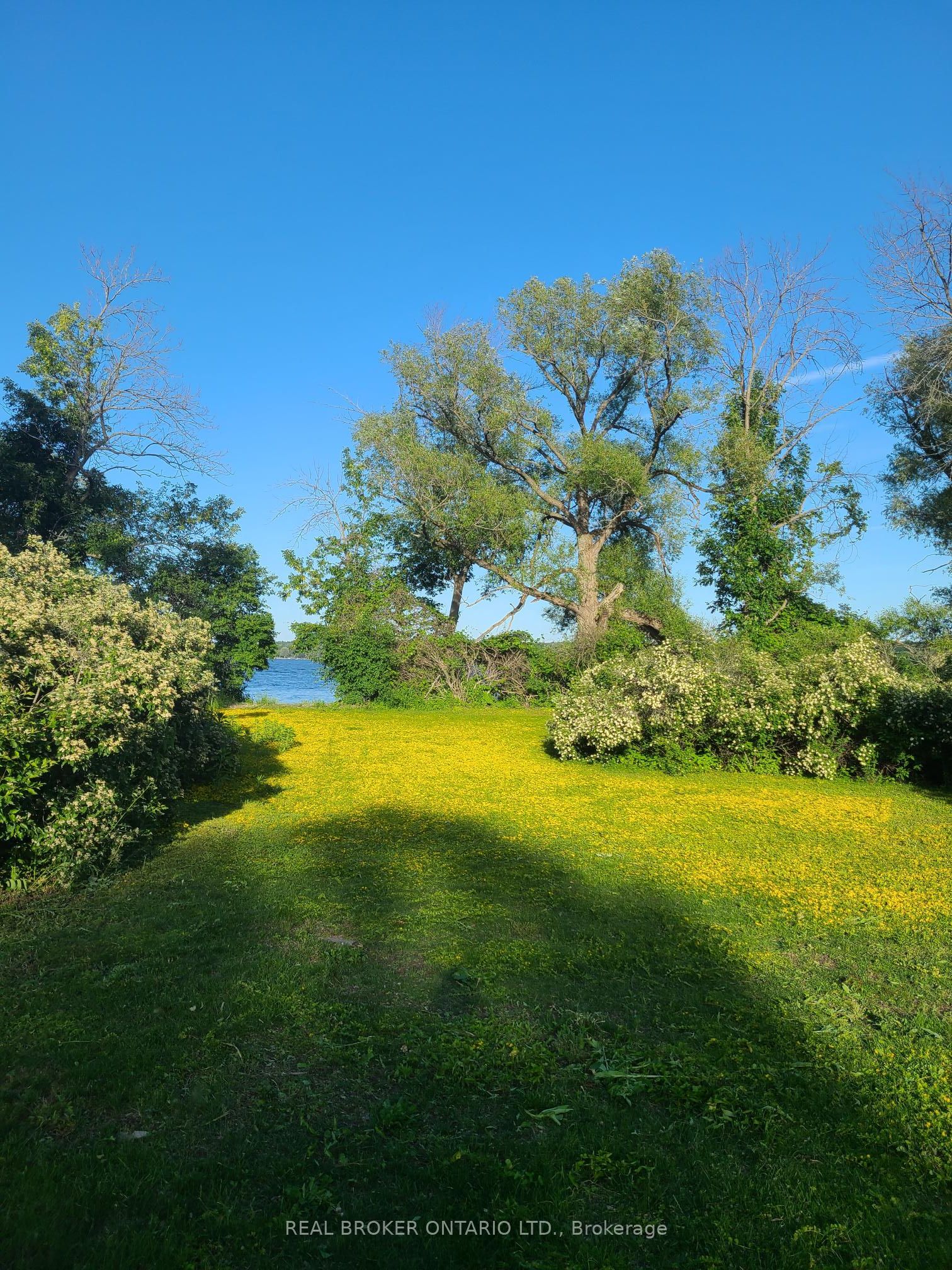 0 Makatewis Island Property Photo 12