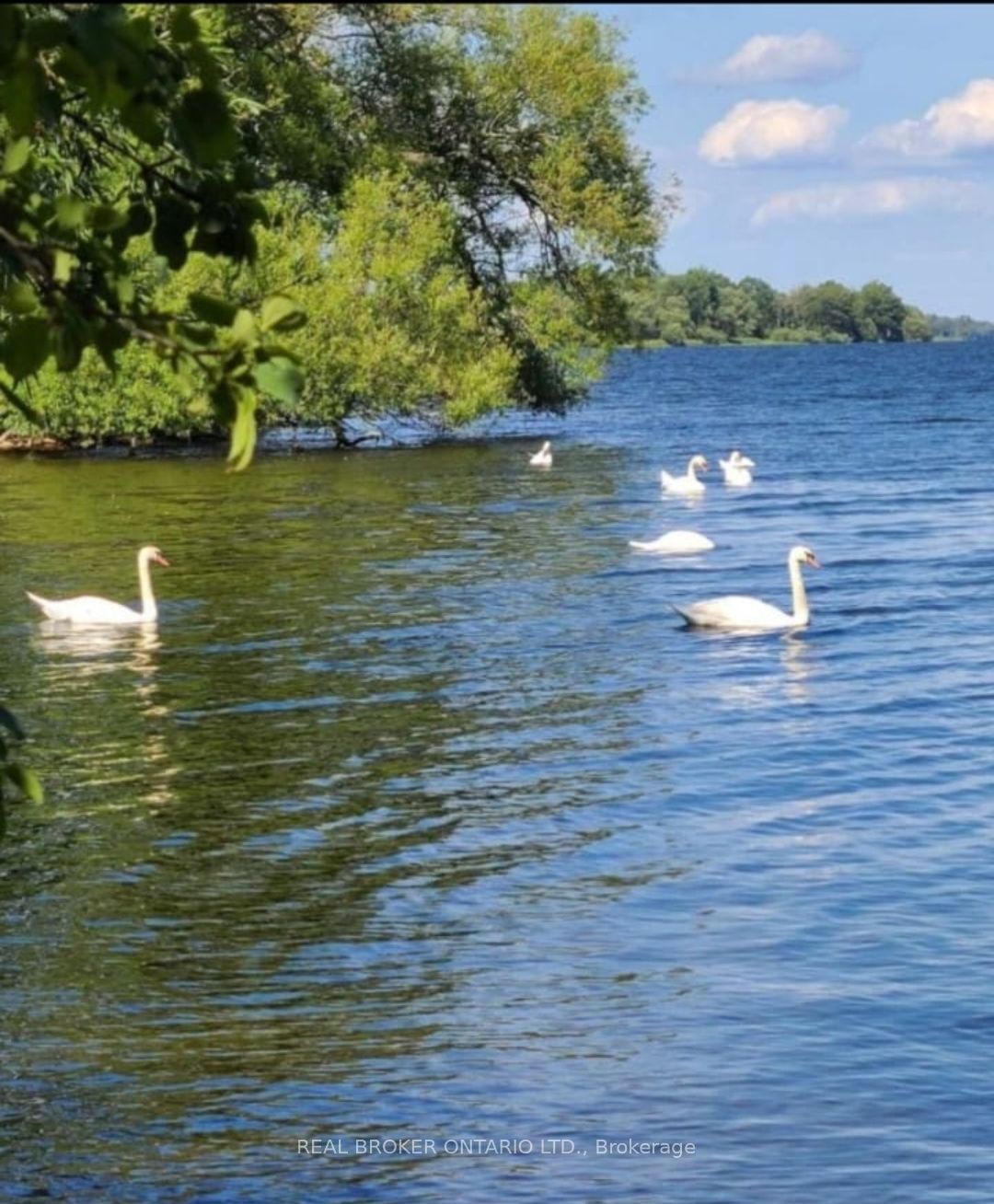 0 Makatewis Island Property Photo 15
