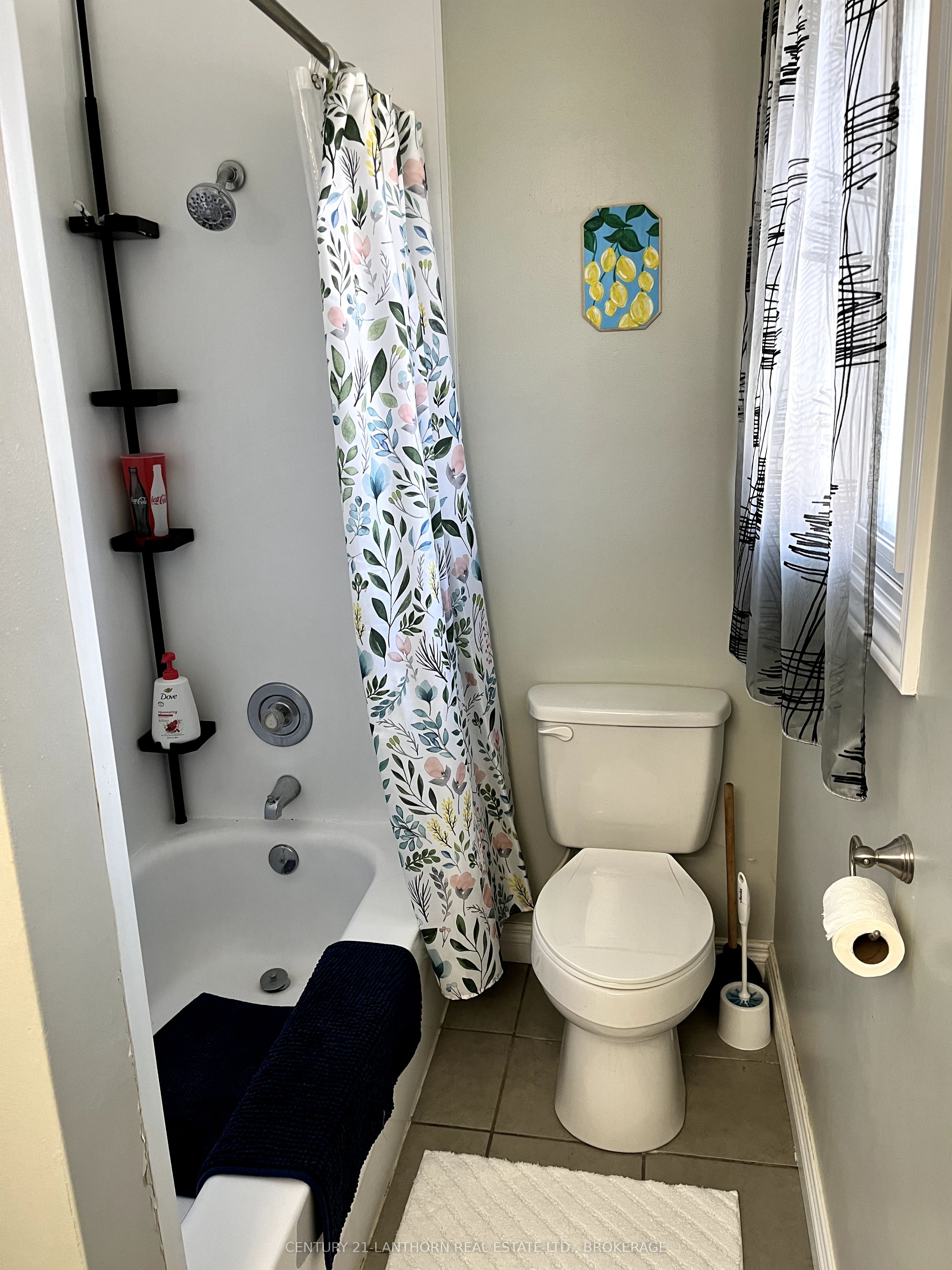 58 Cliff Crescent Property Photo 20