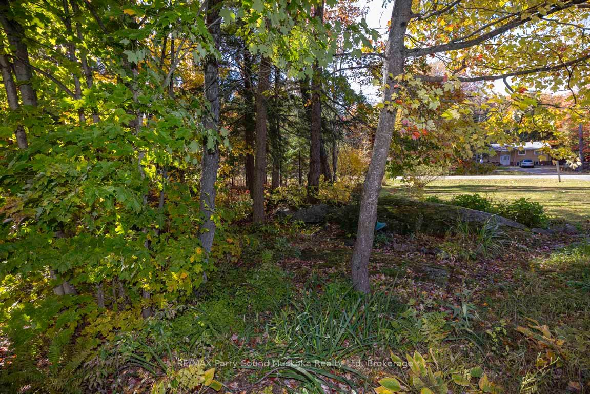 33 Humphrey Drive Property Photo 44