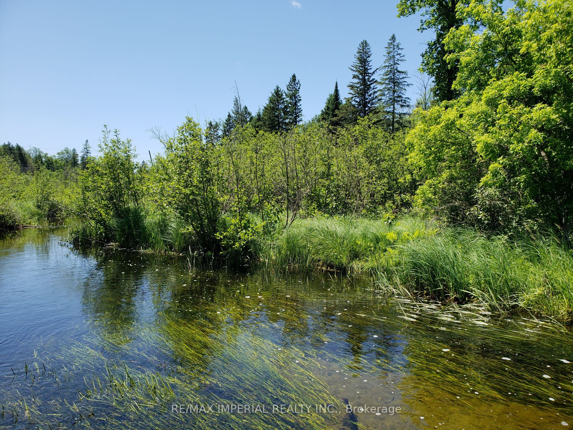 15572 Highway 17 Property Photo