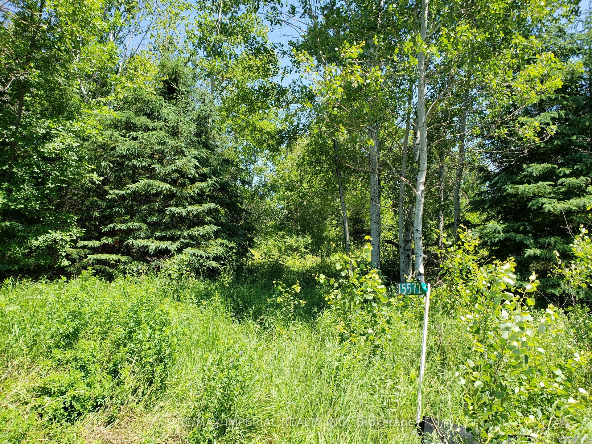 15572 Highway 17 Property Photo 2