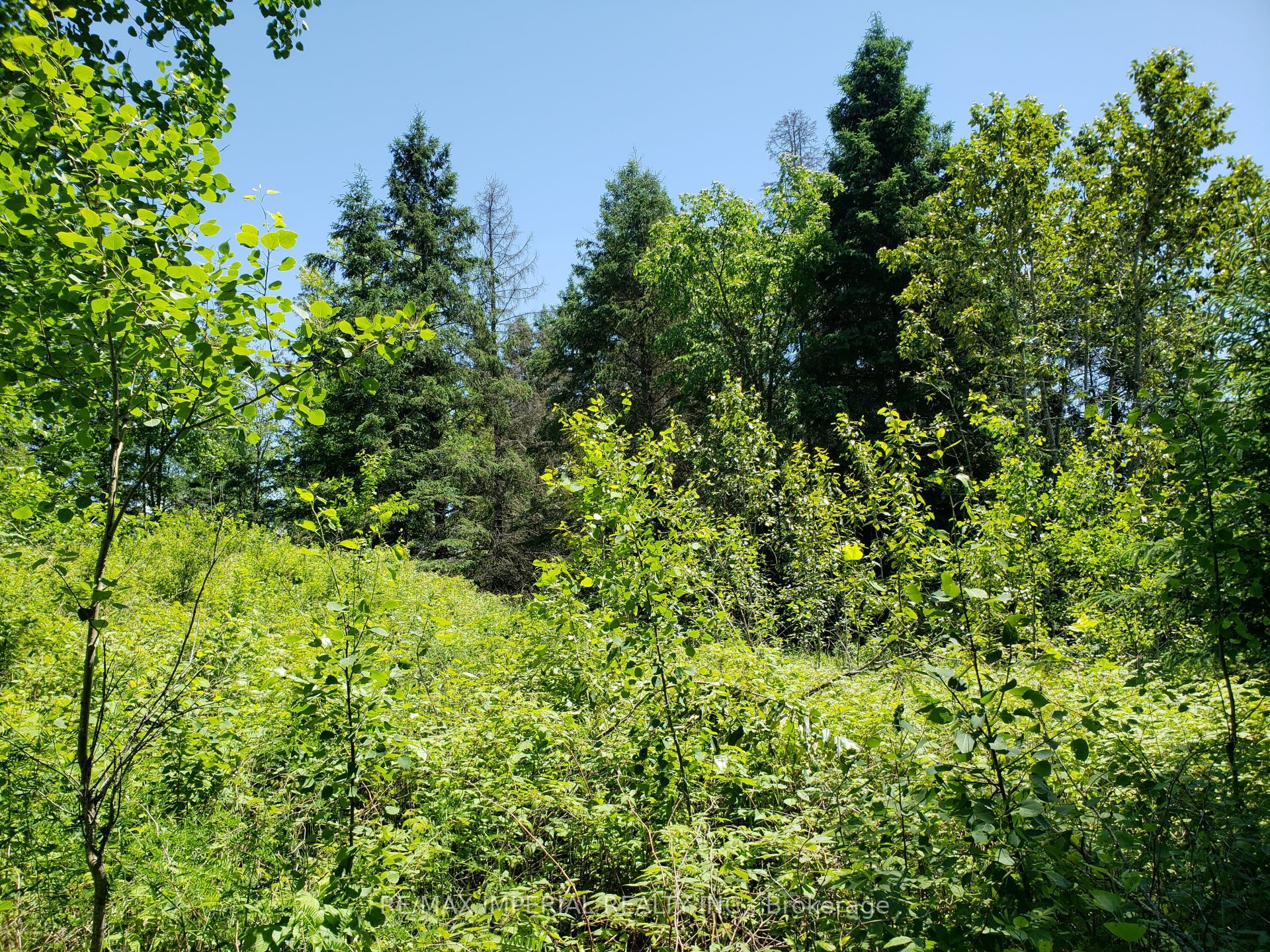 15572 Highway 17 Property Photo 3