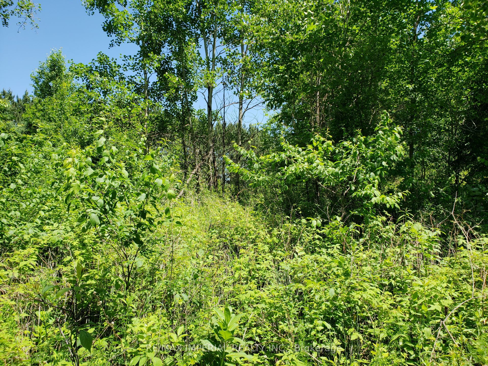 15572 Highway 17 Property Photo 4